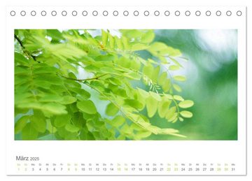 CALVENDO Wandkalender Blütenwerk (Tischkalender 2025 DIN A5 quer), CALVENDO Monatskalender
