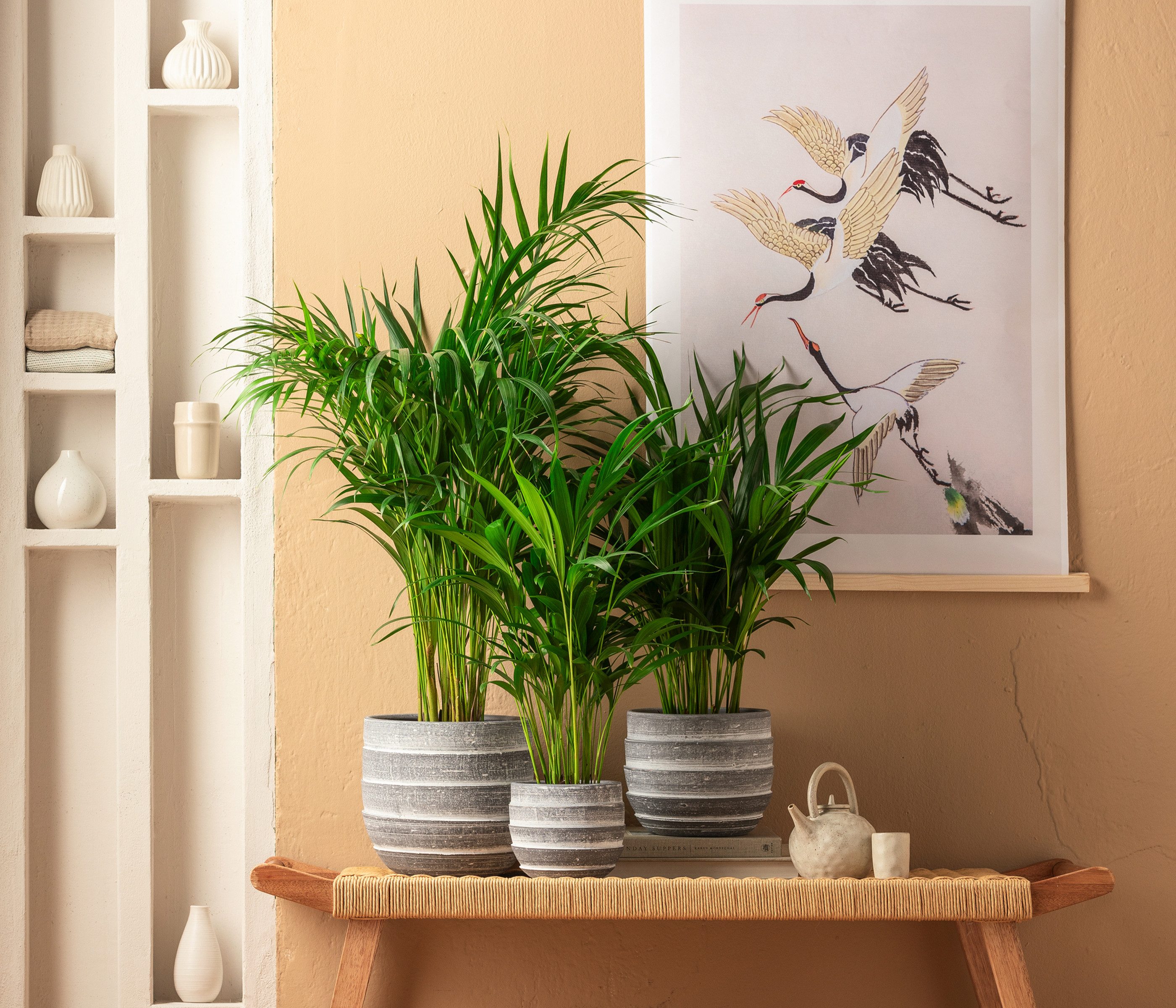 Dehner Übertopf Eneas, konische Form, Keramik, grau, handgefertigter Indoor Blumentopf mit matter Oberfläche