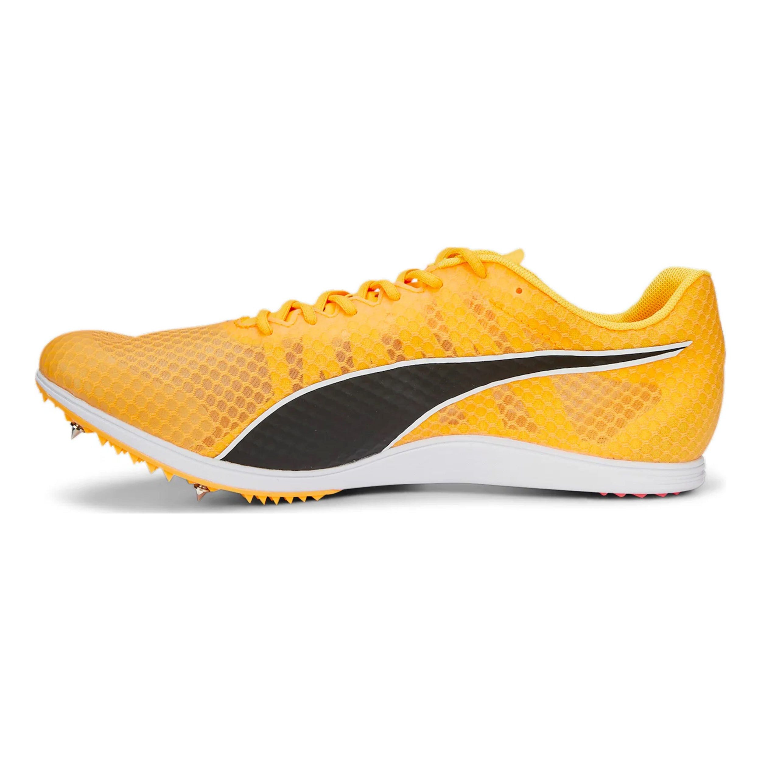 PUMA Evospeed Distance 11 - Spikeschuh Laufschuh günstig online kaufen