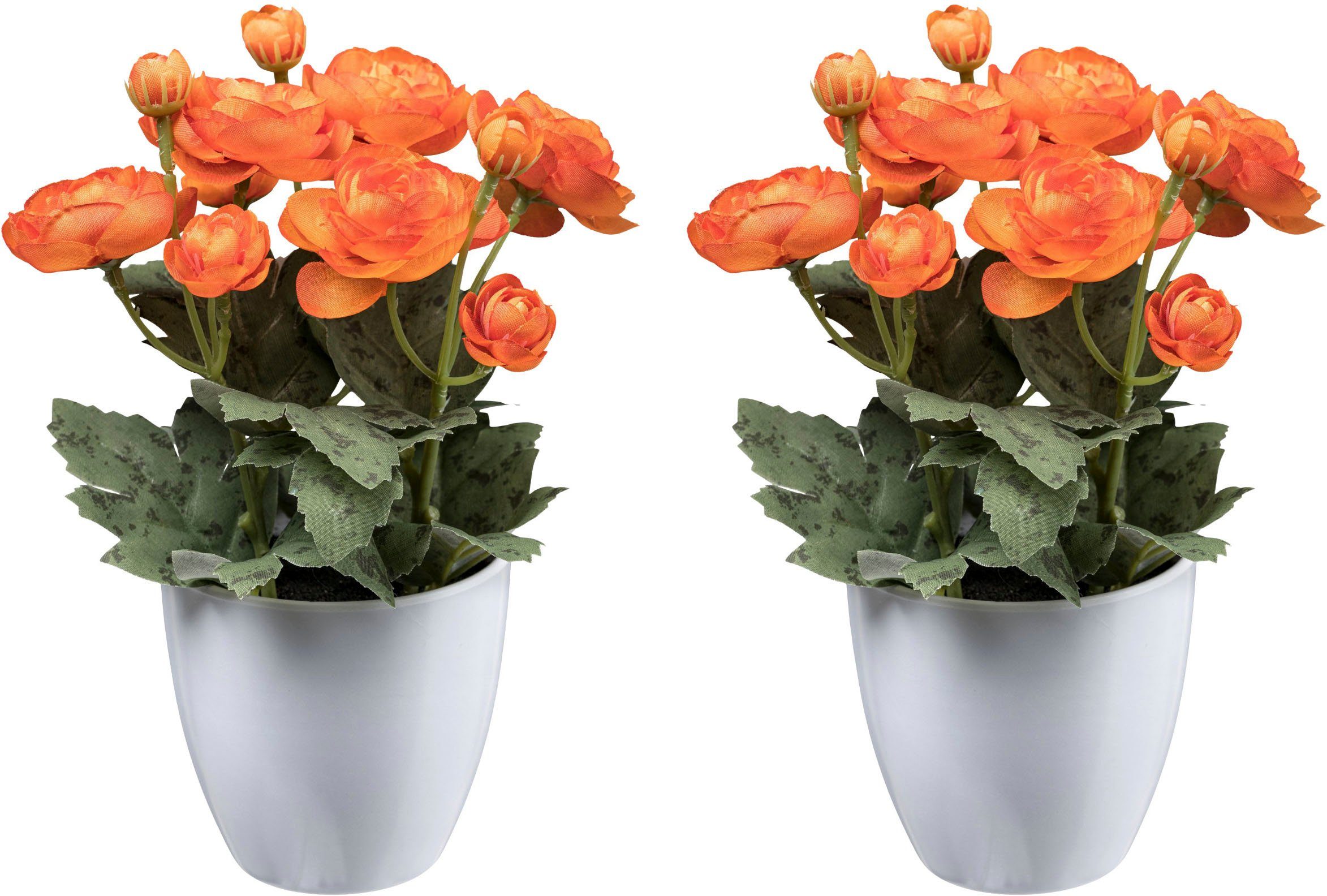 Kunstblume Ranunkel Mohn, Creativ green, Höhe günstig online kaufen