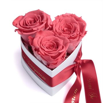 Kunstblume »Seni Seviyorum Infinity Rosenbox Herz 3 echte Rosen konserviert« Rose, ROSEMARIE SCHULZ Heidelberg, Höhe 10 cm, echte Rosen lang haltbar