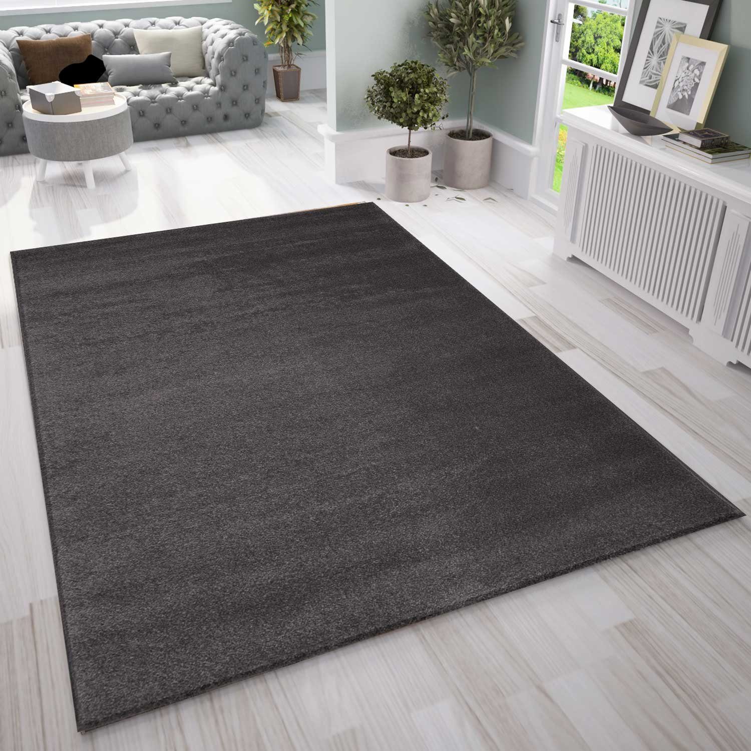 Vimoda Fellteppich Wohnzimmer Teppich hochflor Weich,&, Flauschig, Rechteckig, Höhe: 20 mm, Teppich einfarbig Seidiger, Glanz, in Grau & Anthrazit