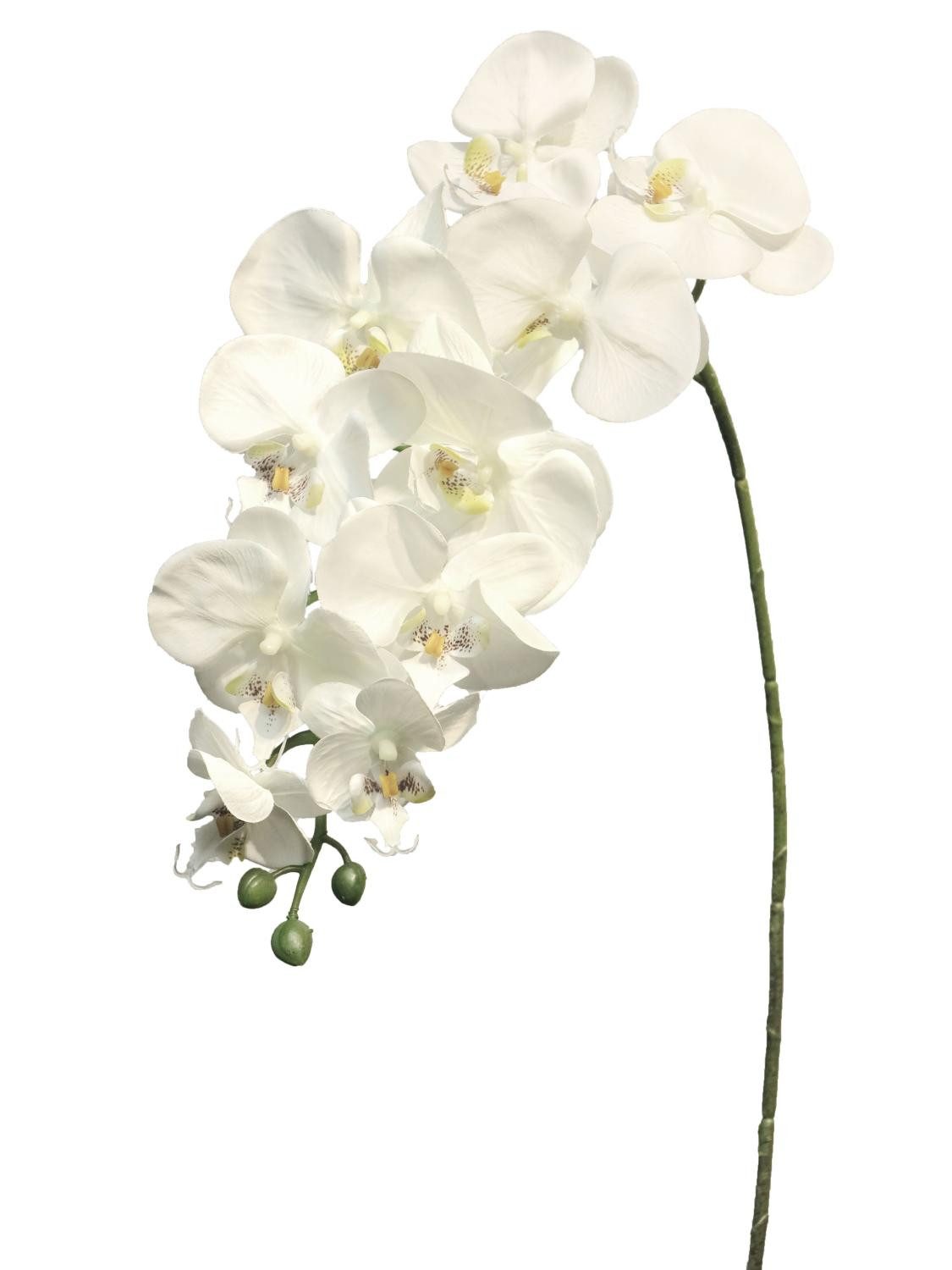 Kunstorchidee Dekozweig Phalaenopsis Orchidee JUANRU, weiß, 100 cm Orchidee (Orchidee phalaenopsis), artplants, Höhe 100.0 cm