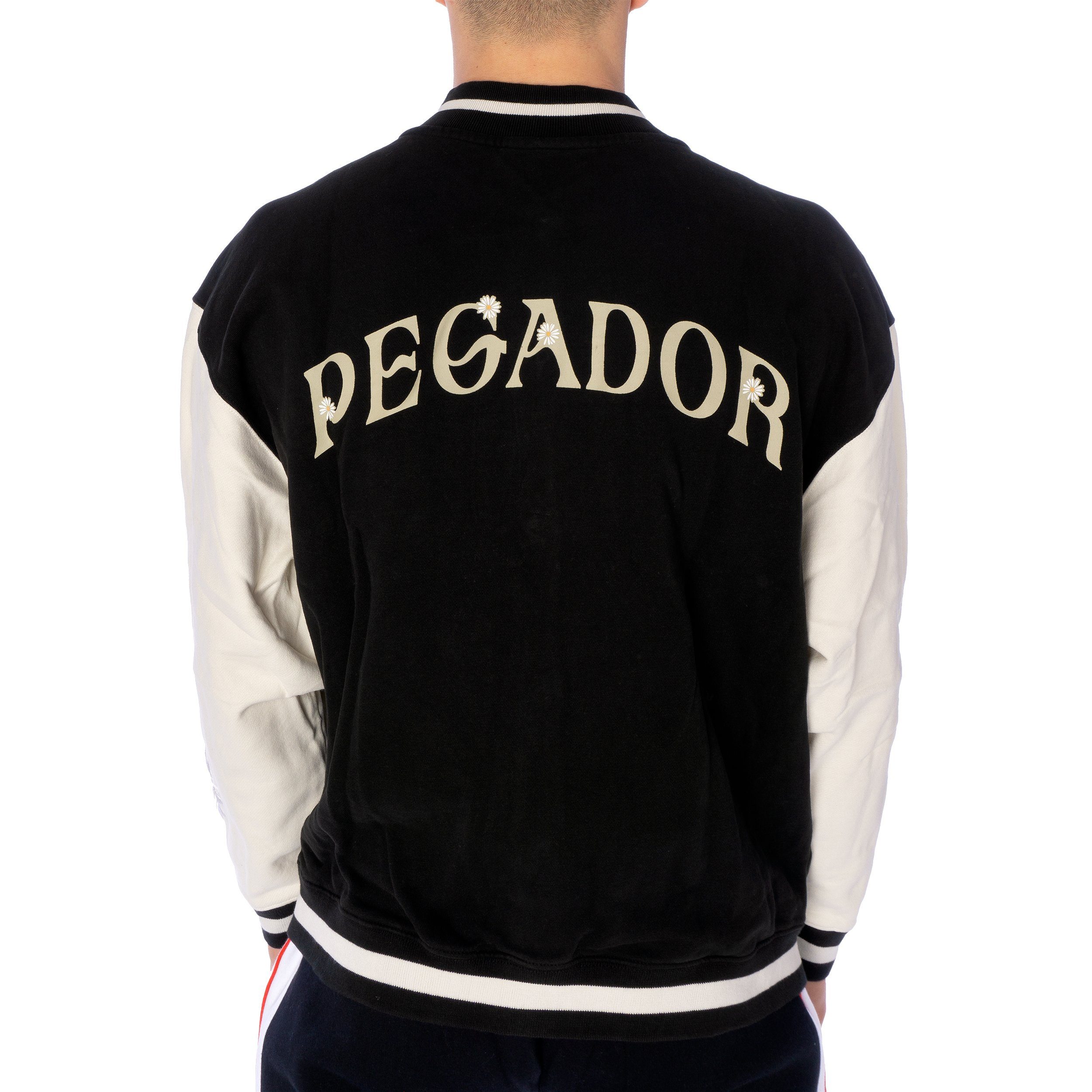 PEGADOR Collegejacke Jacke Pegador Sala Oversized Varsity (1-St) Kontrastfarbene Ärmel