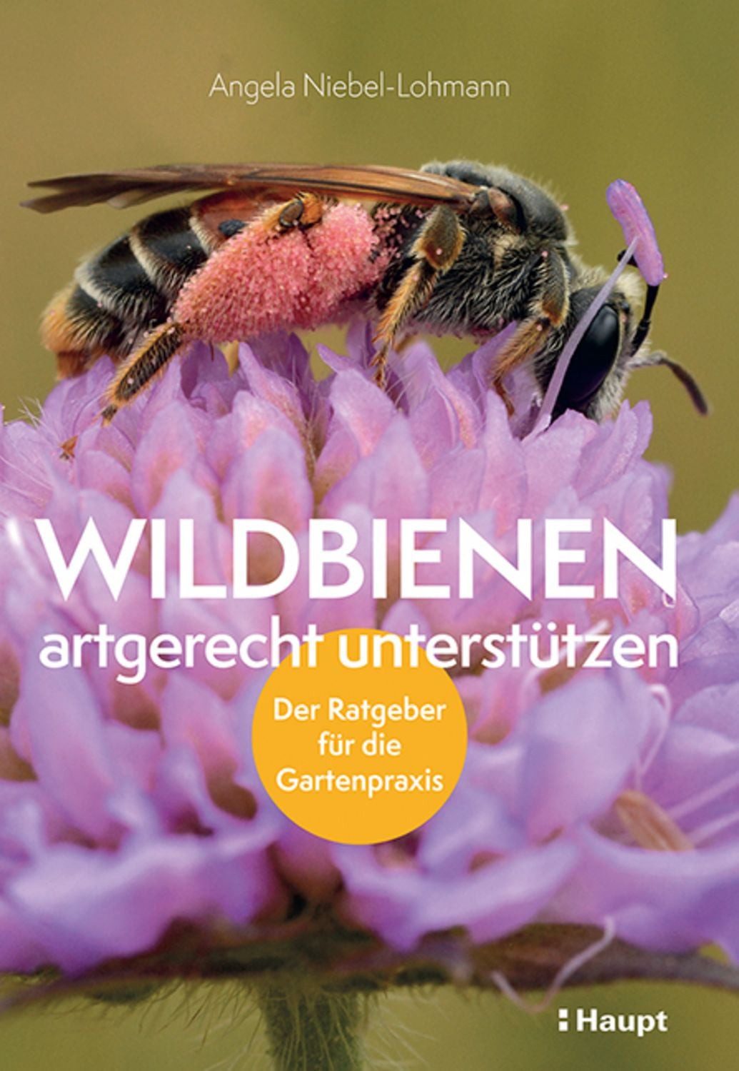 Wildbienen artgerecht unterstützen / Angela K. Niebel-Lohmann