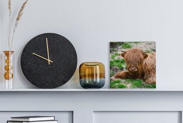 OneMillionCanvasses® Leinwandbild Schottischer Highlander - Heu - Gras, (1 St), Leinwand Bilder für Wohnzimmer Schlafzimmer