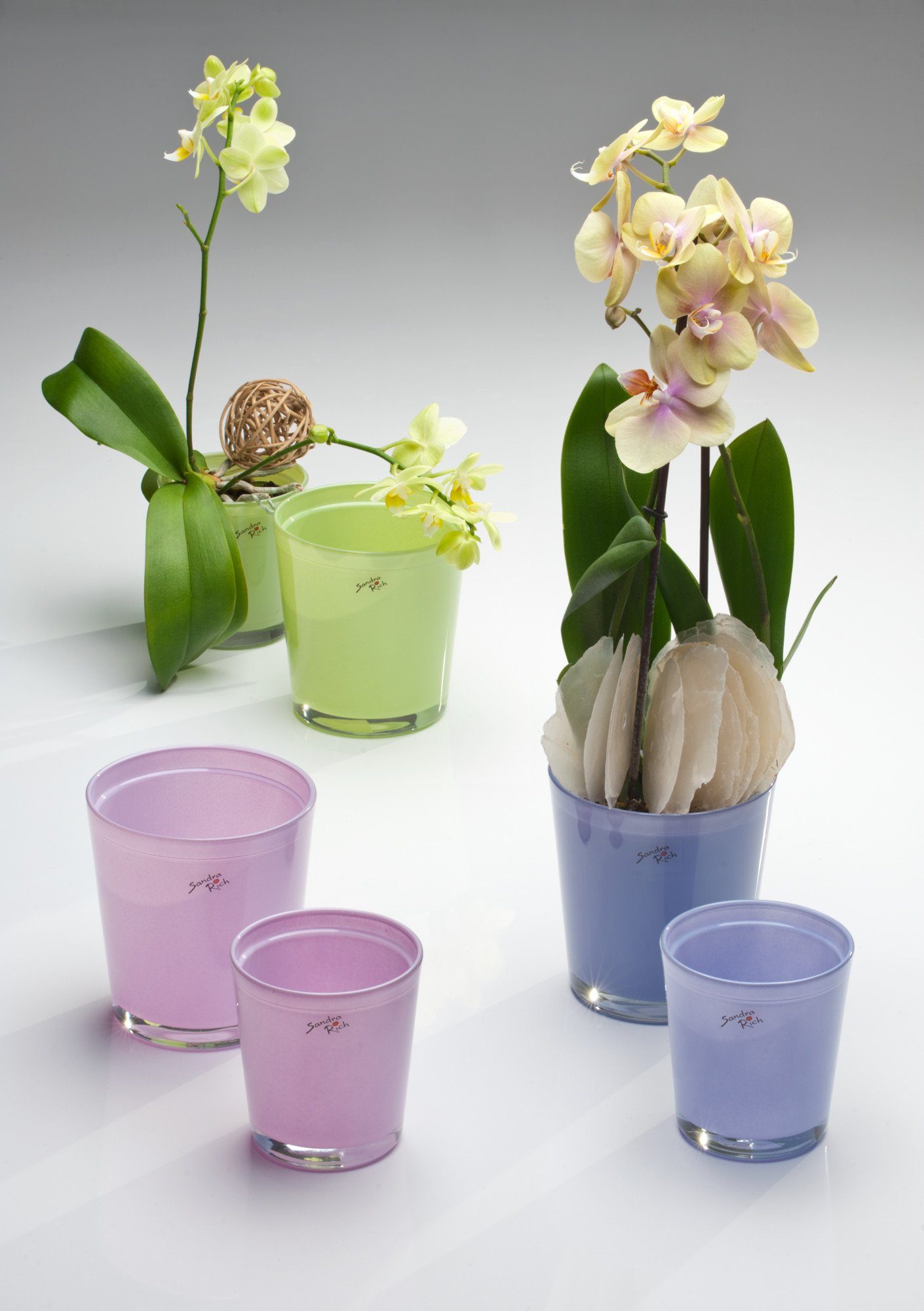 Sandra Rich Blumentopf Orchideentopf Orchid konisch günstig online kaufen