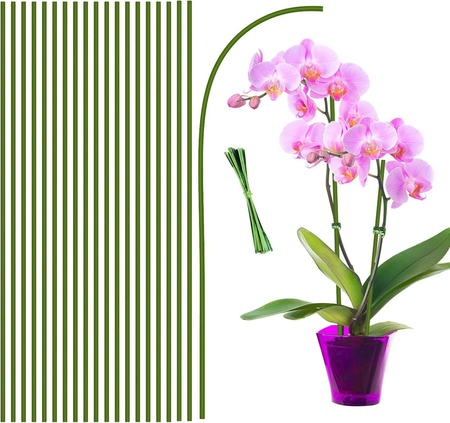 Kaket Rankhilfe Pflanzenstütze 40CM, 20 Stück günstig online kaufen
