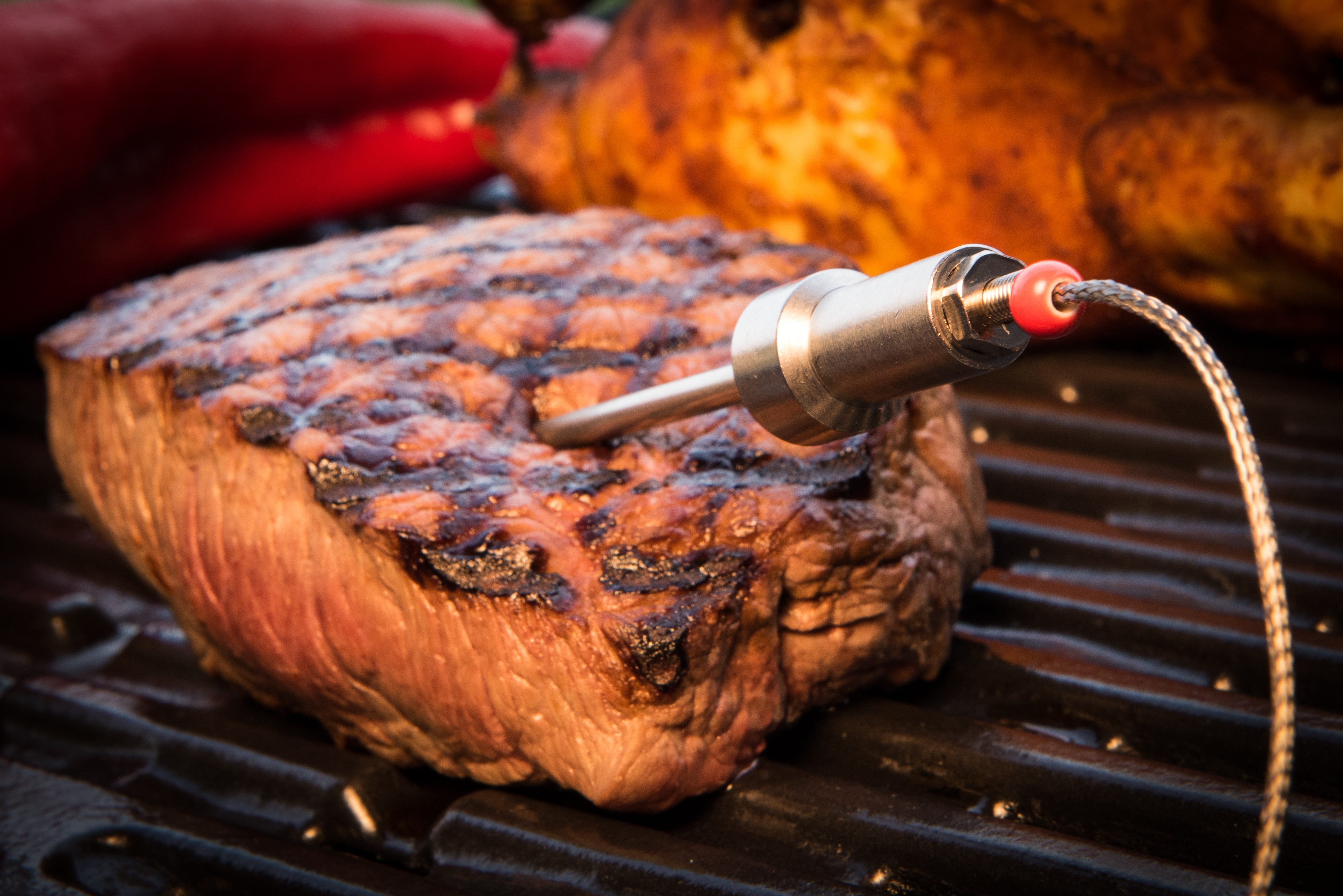 HerQs Grillthermometer Probes
