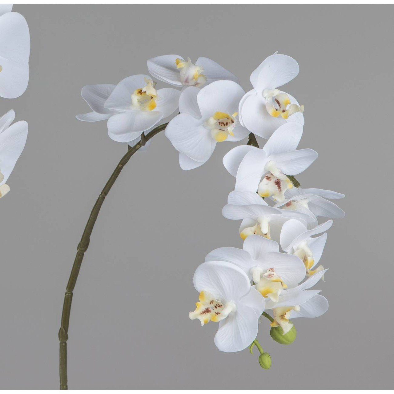 Höhe / Weiß Höhe Maße: 56 H:56cm 56cm; cm, formano, Blüte: Kunstblume, Kunststoff, 6x4,5cm Länge: