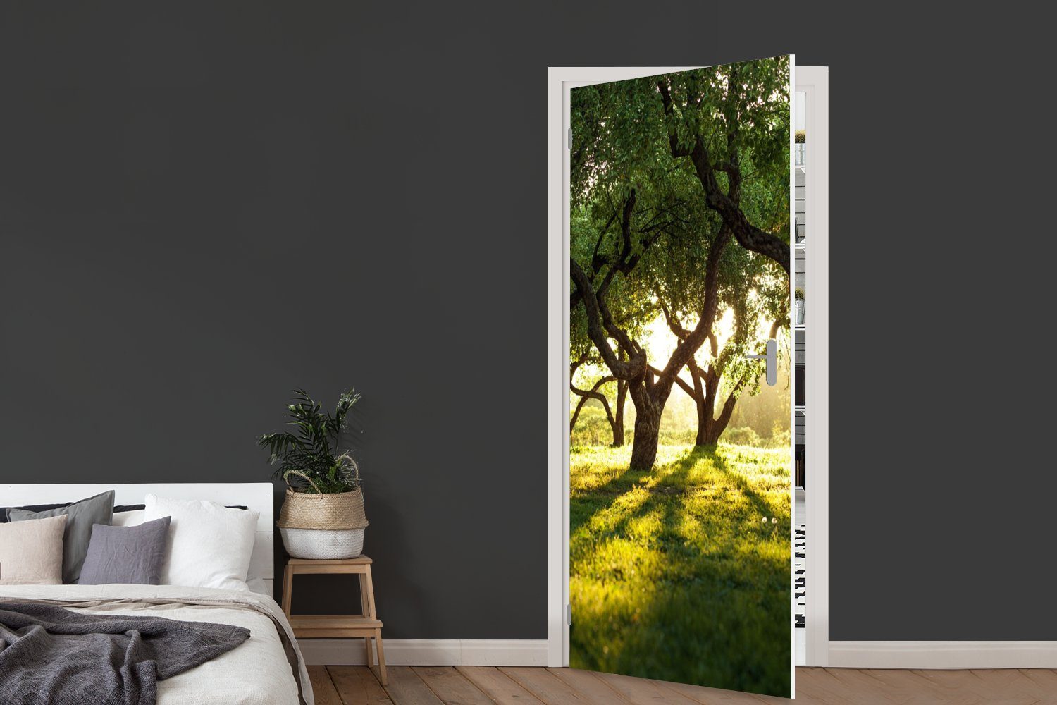 MuchoWow Türtapete Bäume 75x205 cm Matt, - Natur Fototapete - Türaufkleber, für Tür, St), (1 Sonne, bedruckt