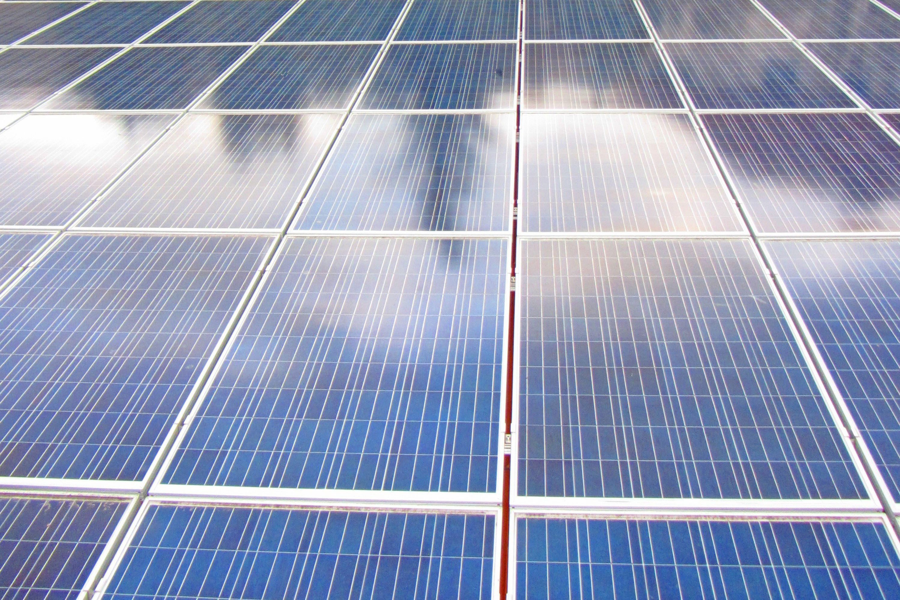 CleanPrince Solaranlagen - Reiniger Photovoltaikanlagen Reinigungsmittel Spezialwaschmittel (materialschonende Reinigung)