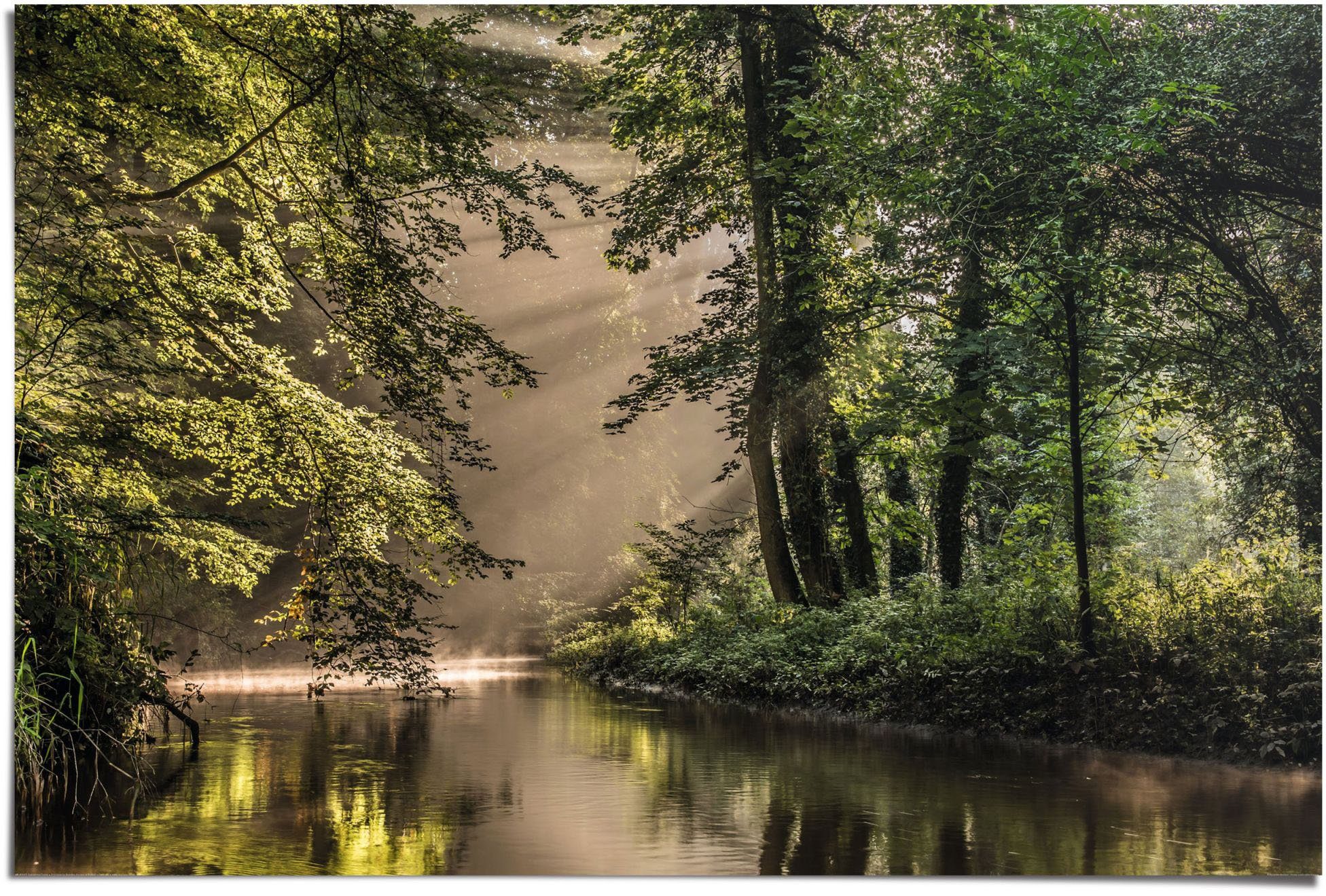 Reinders! Poster Lichtspiel am Waldsee, (1 St)