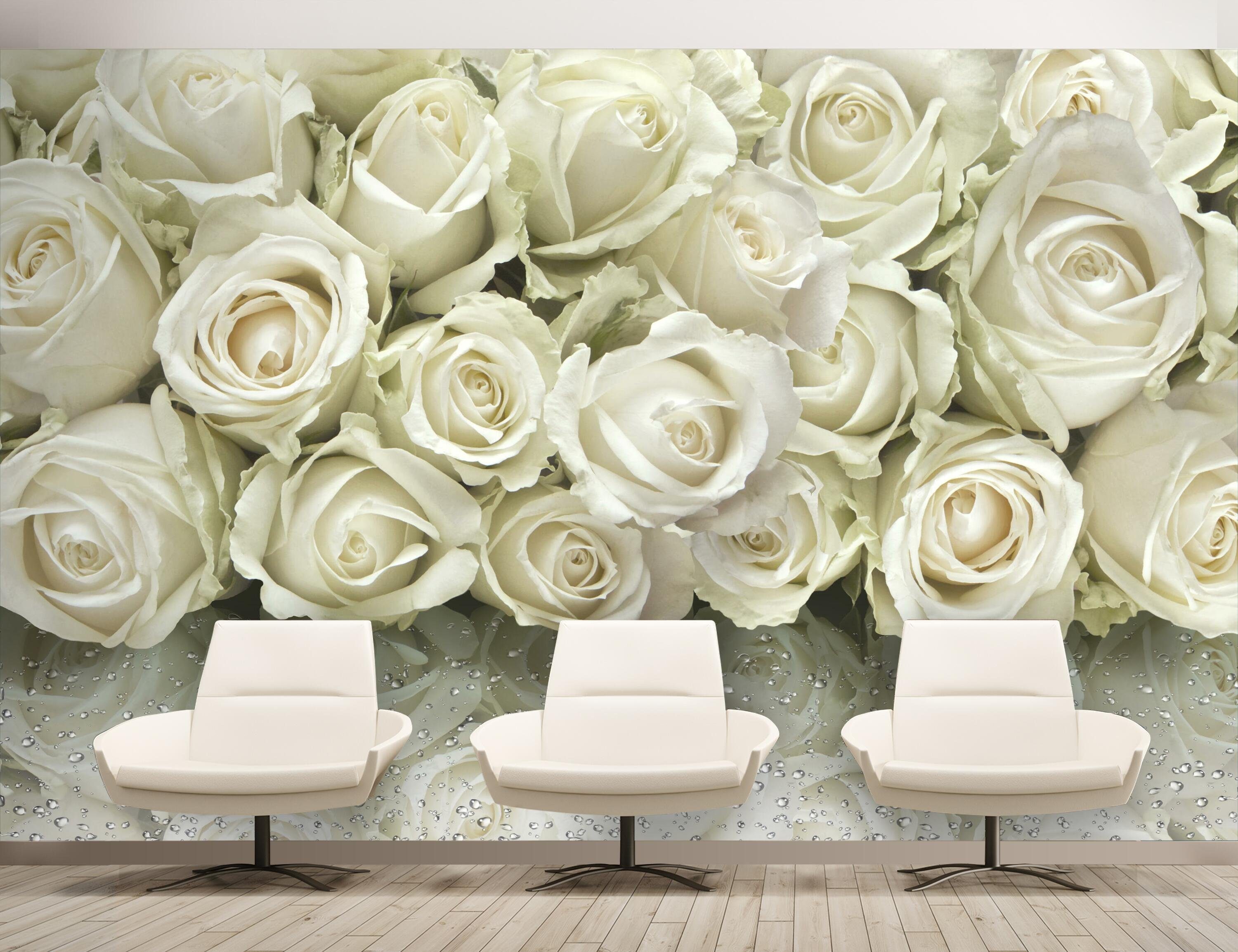 wandmotiv24 Fototapete weiße Rosenblüten, glatt, Vliestapete matt, Wandtapete, Motivtapete