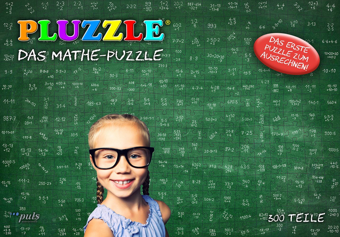 300 Puzzleteile Puzzle PLUZZLE, puls entertainment