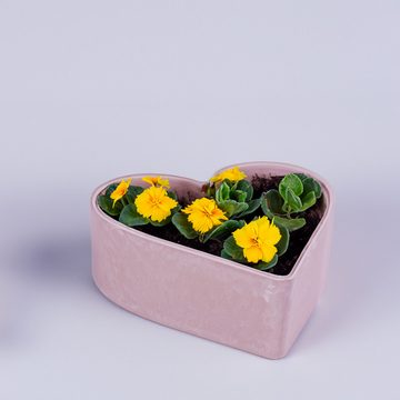 matches21 HOME & HOBBY Blumentopf Pflanzschale Dekoschale für aussen Rosa 2er Set Herz-Form 22 cm (2 St), Wetterfeste Blumen-Schale als Garten-Deko oder Friedhof Grab-Schmuck