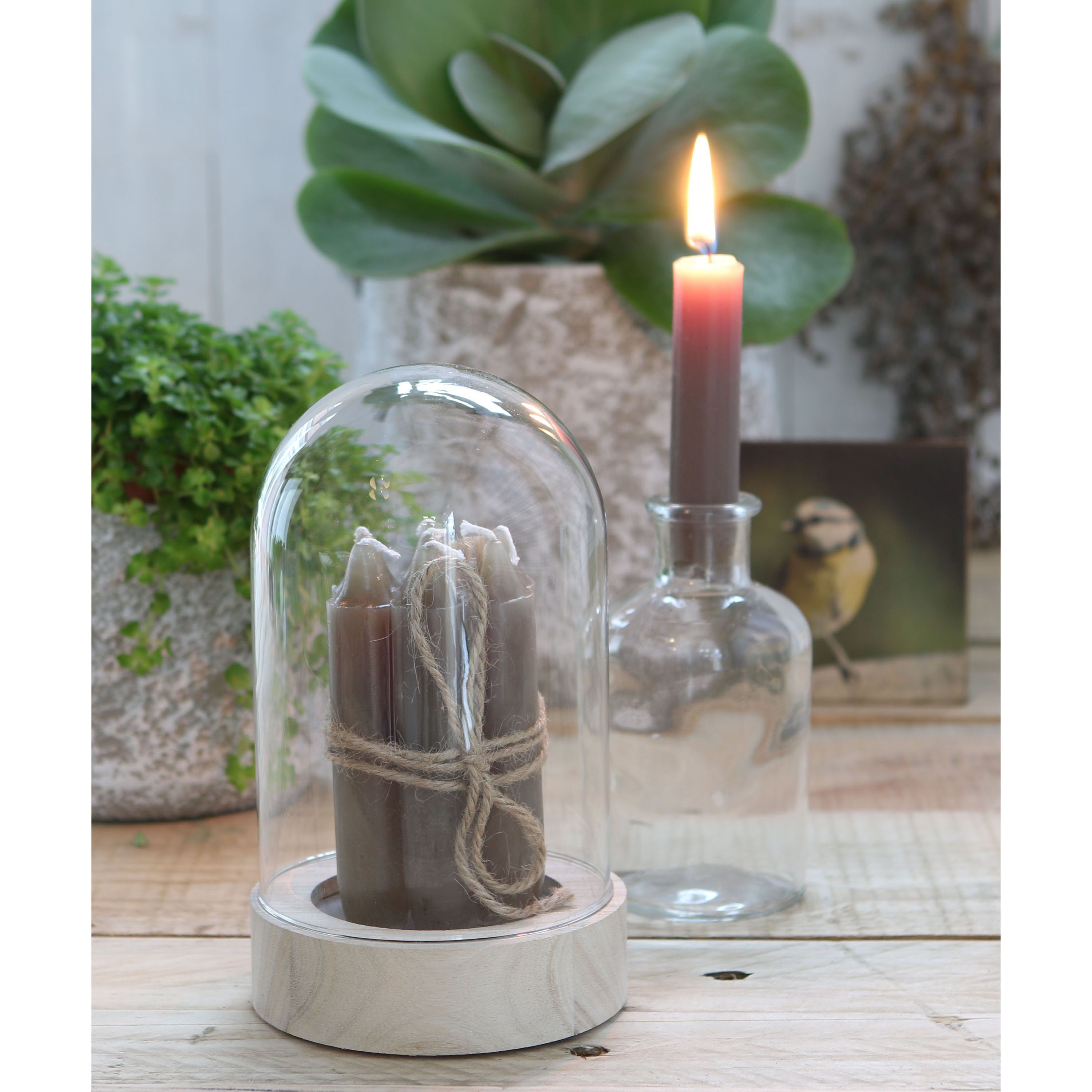 Annastore Spitzkerze 7-tlg. Set Kerzen H günstig online kaufen