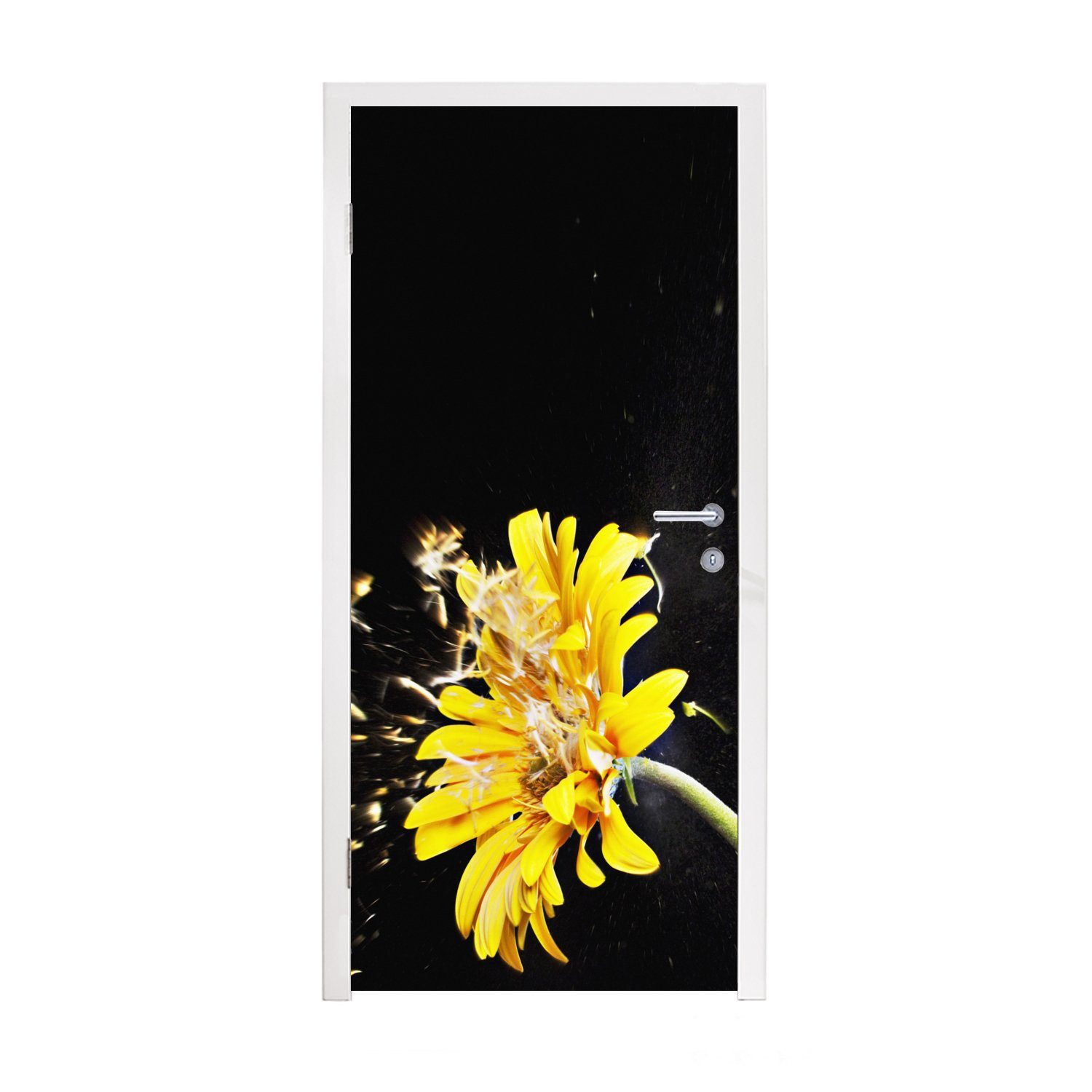 MuchoWow orangefarbene Eine St), Fototapete bedruckt, Gerbera-Blüte Türaufkleber, Hintergrund für auf schwarzem abgebildet, 75x205 cm Türtapete (1 Tür, Matt,