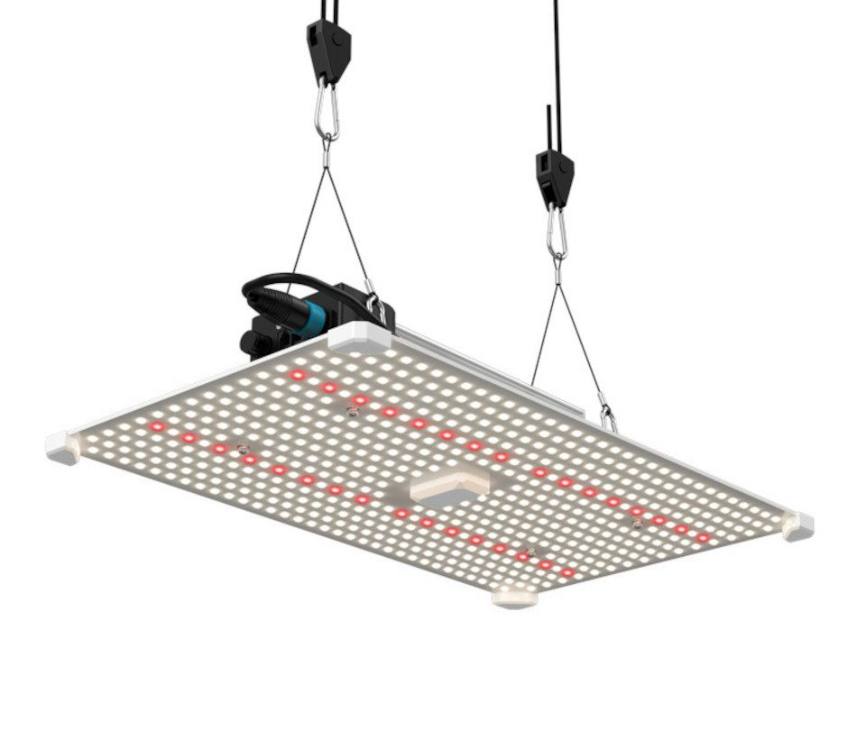 Lumii Pflanzenlampe Lumii Black Blade 200 günstig online kaufen