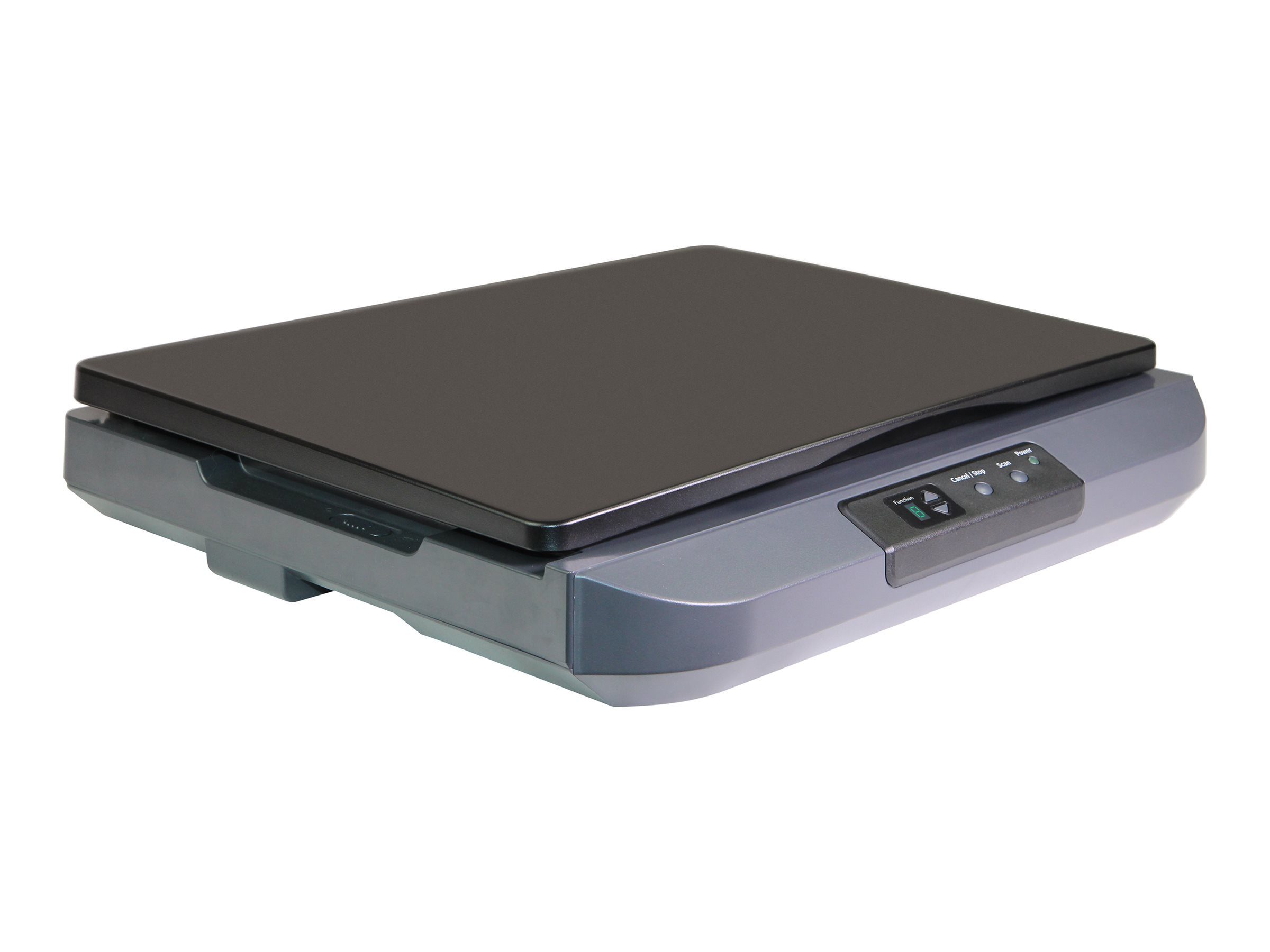 Avision Flachbettscanner