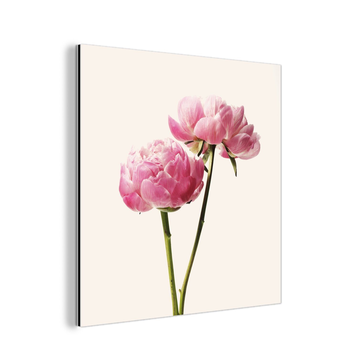 MuchoWow Metallbild Blumen - Blüte - Rosa, (1 St), Alu-Dibond-Druck, Gemälde aus Metall, Aluminium deko