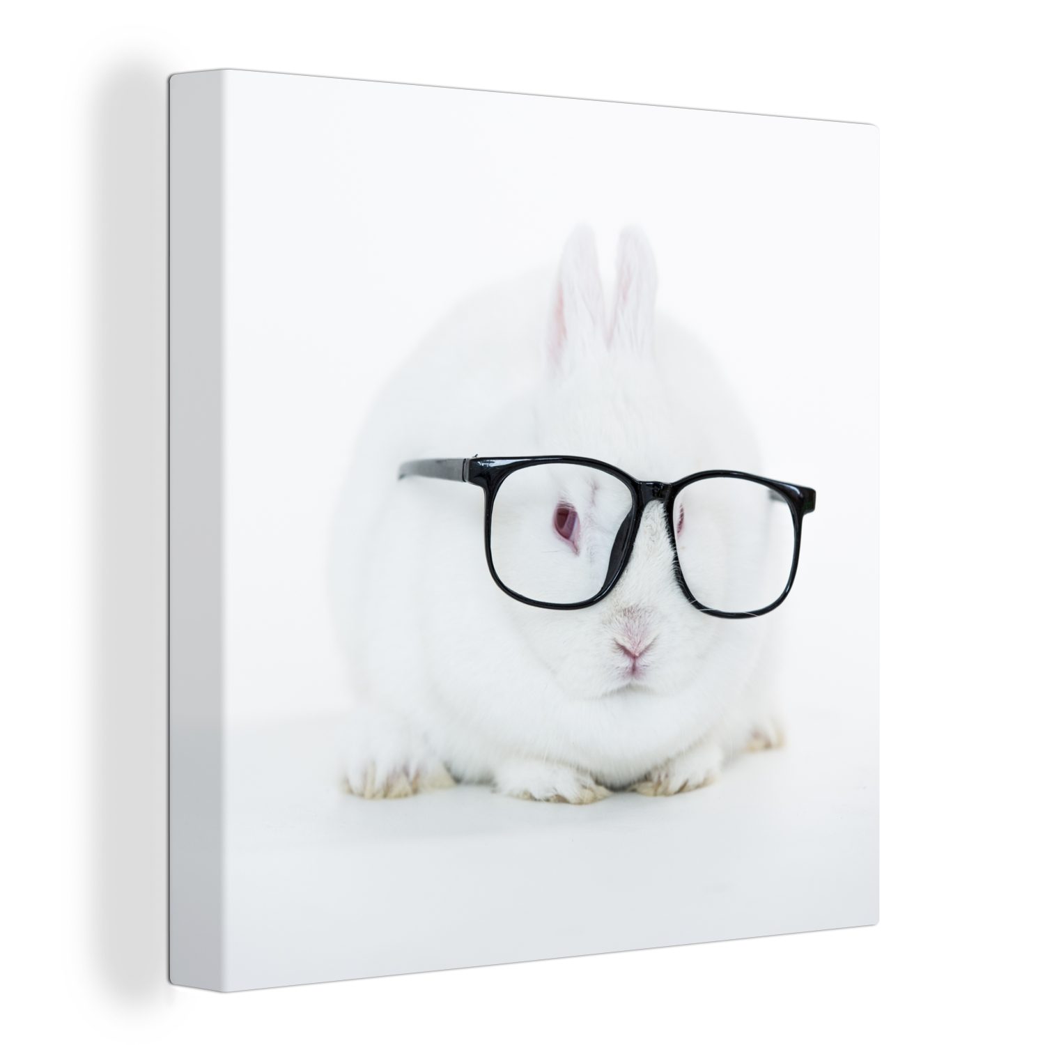Schlafzimmer Leinwand Hipster, St), OneMillionCanvasses® (1 - Wohnzimmer - Leinwandbild Brille für Bilder Kaninchen