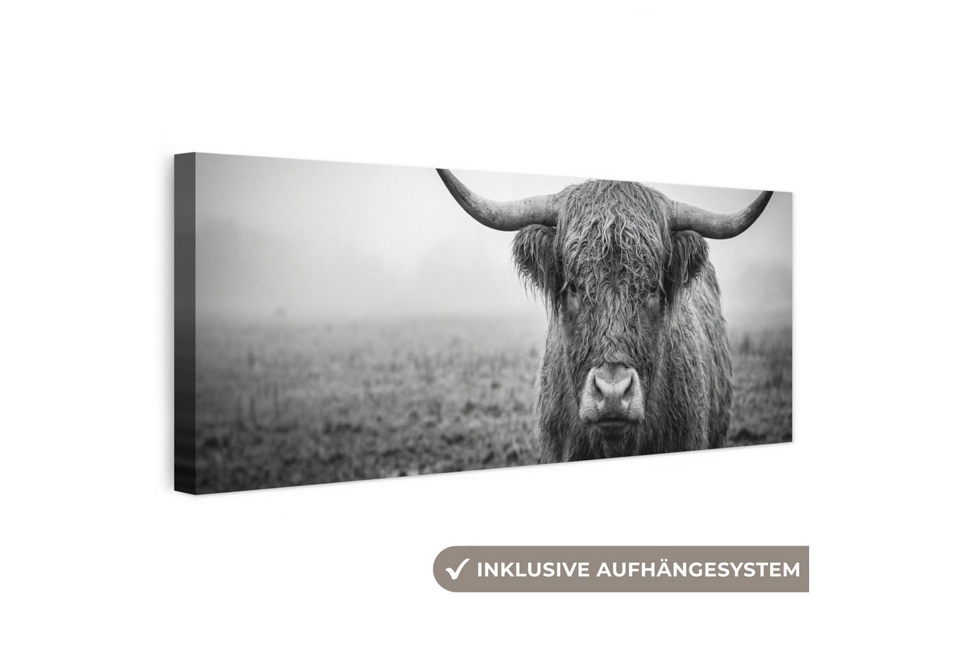OneMillionCanvasses® Leinwandbild Panorama Schottischer Highlander - Schwarz - Weiß - Gras, Fotodruck (1 St), Wandbild, Deko Schlafzimmer Wohnzimmer Flur 60x20 cm
