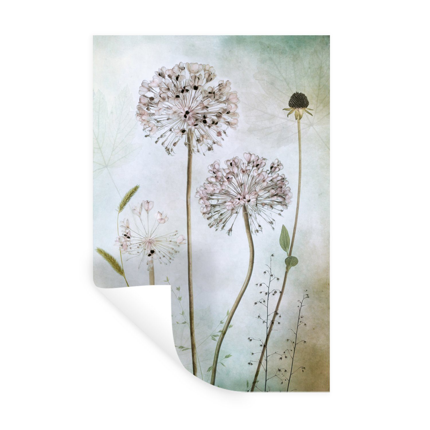 MuchoWow Wandsticker Blumen - Dekorative Zwiebel - Stilleben - Pflanzen (1 St), Wandaufkleber, Wandtattoo, Selbstklebend, Wohnzimmer, Schlafzimmer