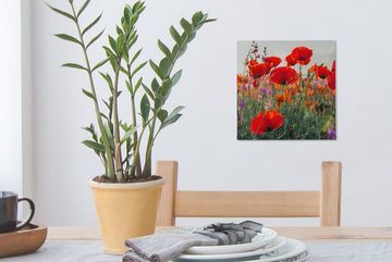OneMillionCanvasses® Leinwandbild Mohn - Blumen - Rot - Lila - Wiese, (1 St), Leinwand Bilder für Wohnzimmer Schlafzimmer