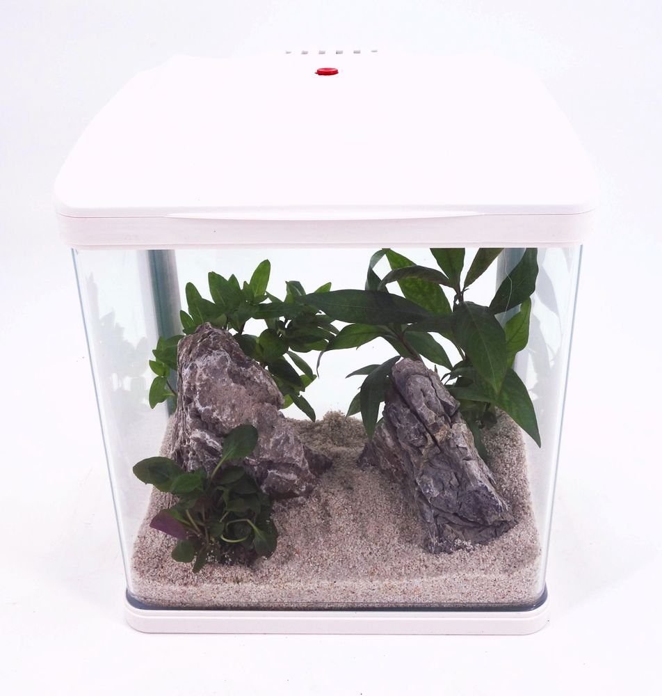 Aquaone Aquarium HR-230 weiß Nano Aquarium Komplettaquarium Mini Aquarium+Filteranlage
