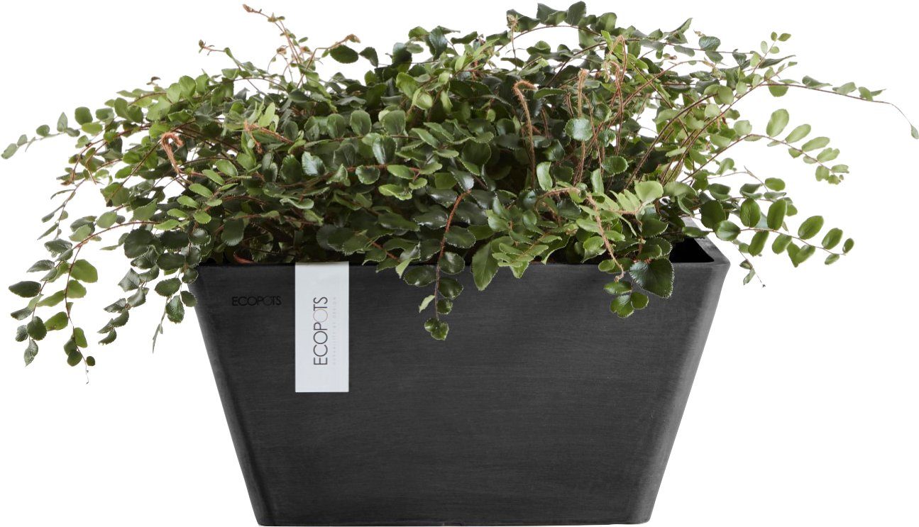 ECOPOTS Blumentopf BERLIN Dark grey, BxTxH: 25x25x12,8 cm günstig online kaufen