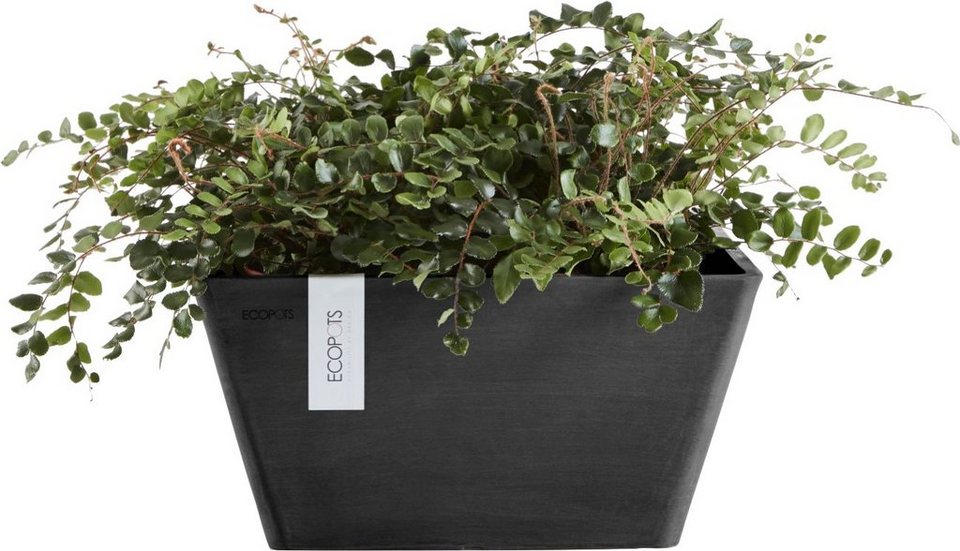 ECOPOTS Blumentopf BERLIN Dark grey, BxTxH: 25x25x12,8 cm