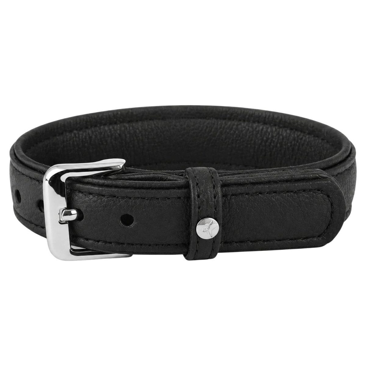 Das Lederband Hunde-Halsband Hundehalsband Denver V2 Black