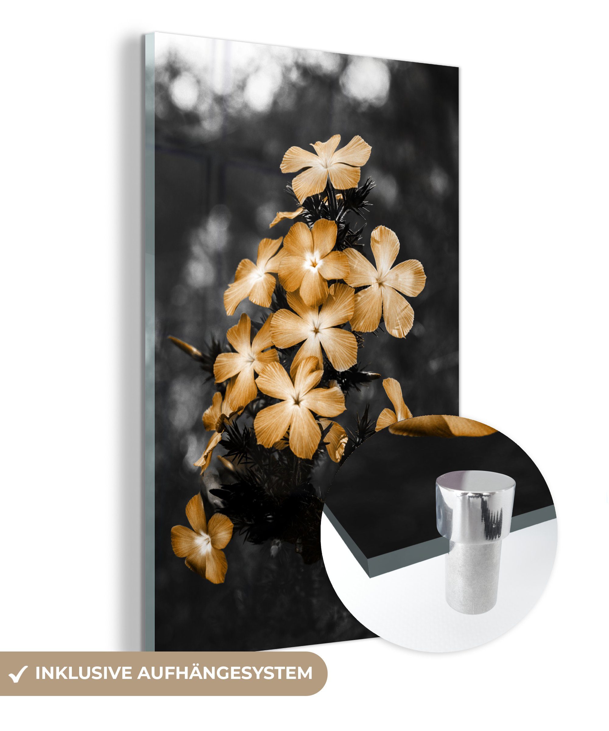 MuchoWow Acrylglasbild Blumen - Braun - Schwarz - Weiß, (1 St), Glasbilder - Bilder auf Glas Wandbild - Foto auf Glas - Wanddekoration