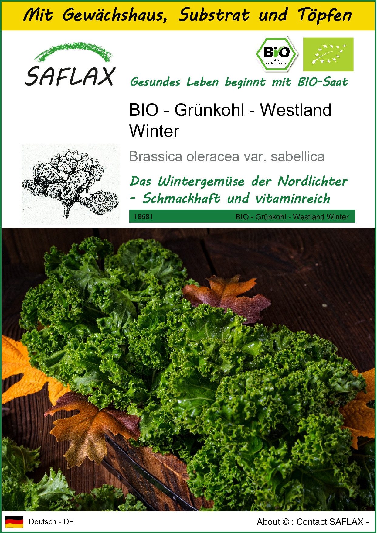 SAFLAX Gemüsesamen SAFLAX - Anzuchtset - BIO - Grünkohl - Westland Winter