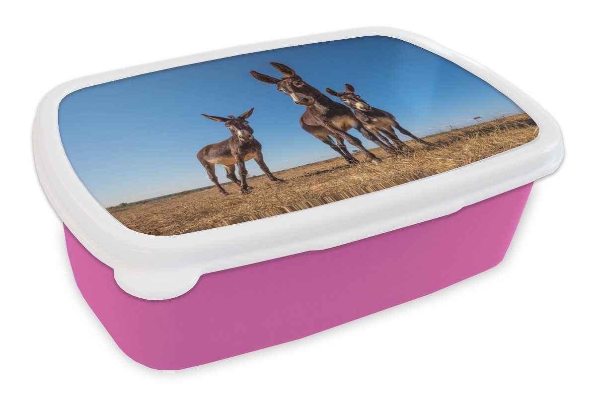 MuchoWow Lunchbox Drei Esel Kunststoff einer Brotdose für (2-tlg), in Mädchen, Brotbox Erwachsene, Kunststoff, Landschaft, rosa Kinder, Snackbox