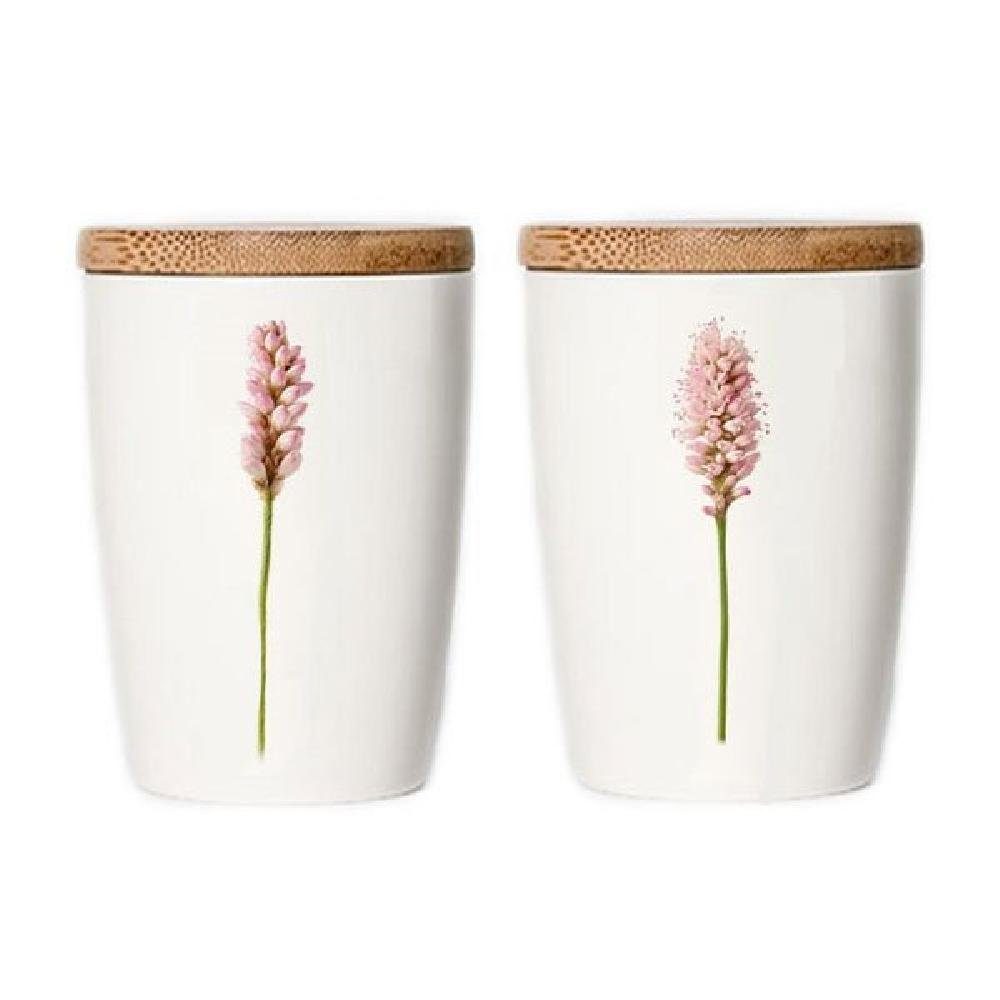 Simply Flowers Vorratsdose Tasse Floh Knöterich (Klein)