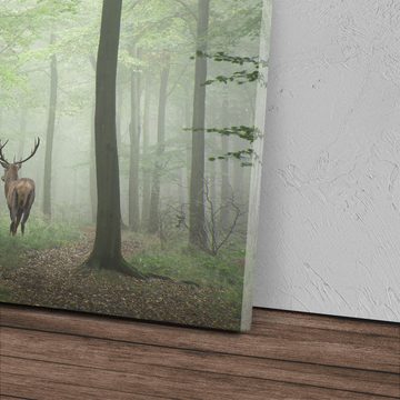 Sinus Art Leinwandbild 120x80cm Wandbild auf Leinwand Hirsch im Wald Natur Bäume Tierfotograf, (1 St)