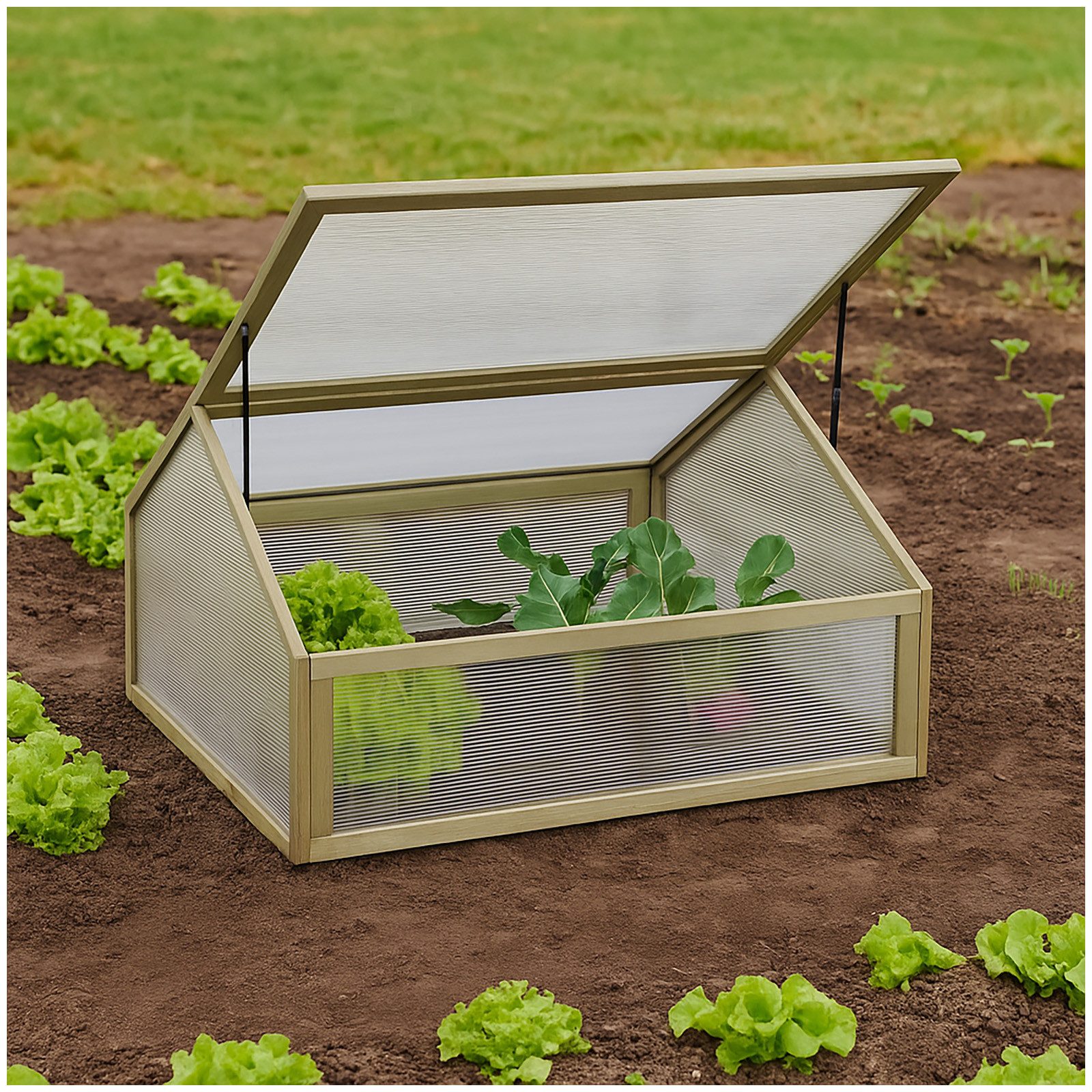 HTI-Line Frühbeet Frühbeet Heidi (Stück, 1 St., 1 Frühbeet), Gewächshaus günstig online kaufen