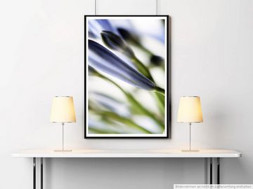 Sinus Art Poster Naturfotografie 60x90cm Poster Blaue Blume im Detail