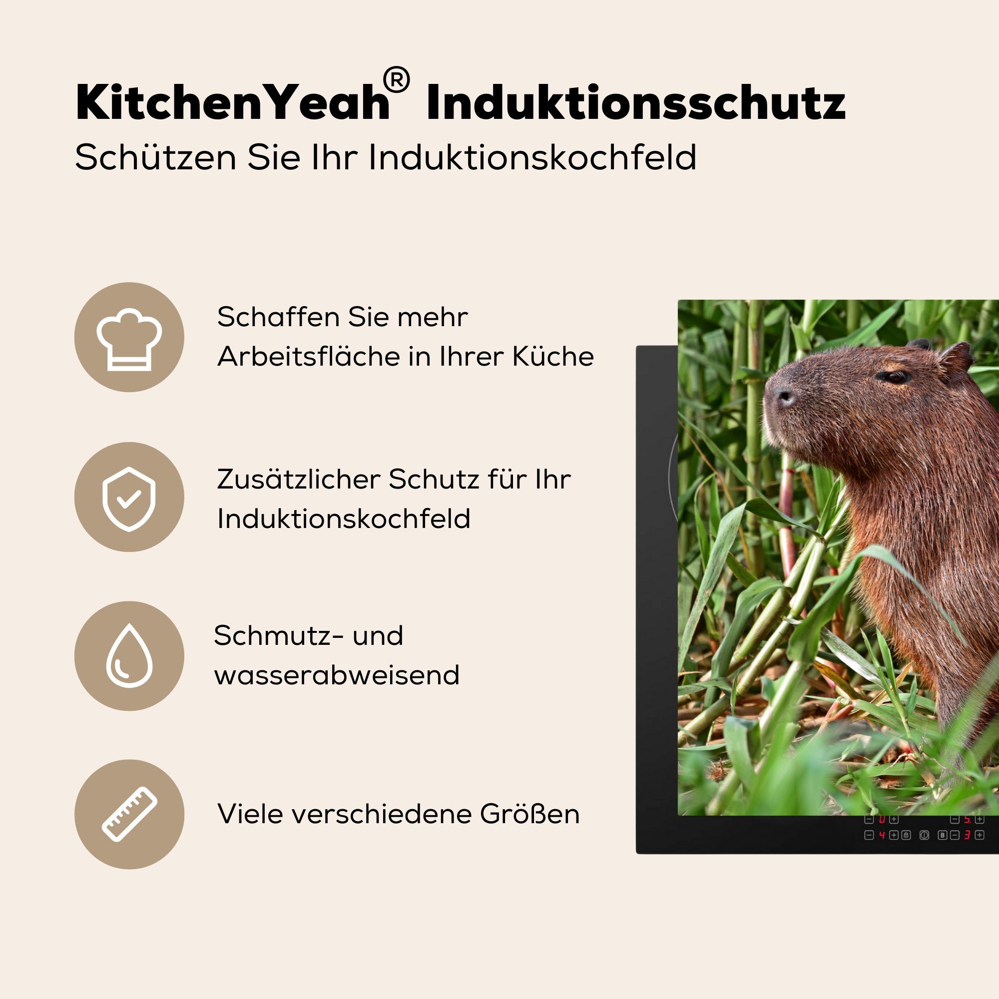 MuchoWow Herdblende-/Abdeckplatte Ein Vinyl, Schutz die Ceranfeldabdeckung für im 81x52 cm, Induktionskochfeld Flussufer des Wasserschwein am Sumpfgebiet sitzt (1 küche, tlg), Pantanal