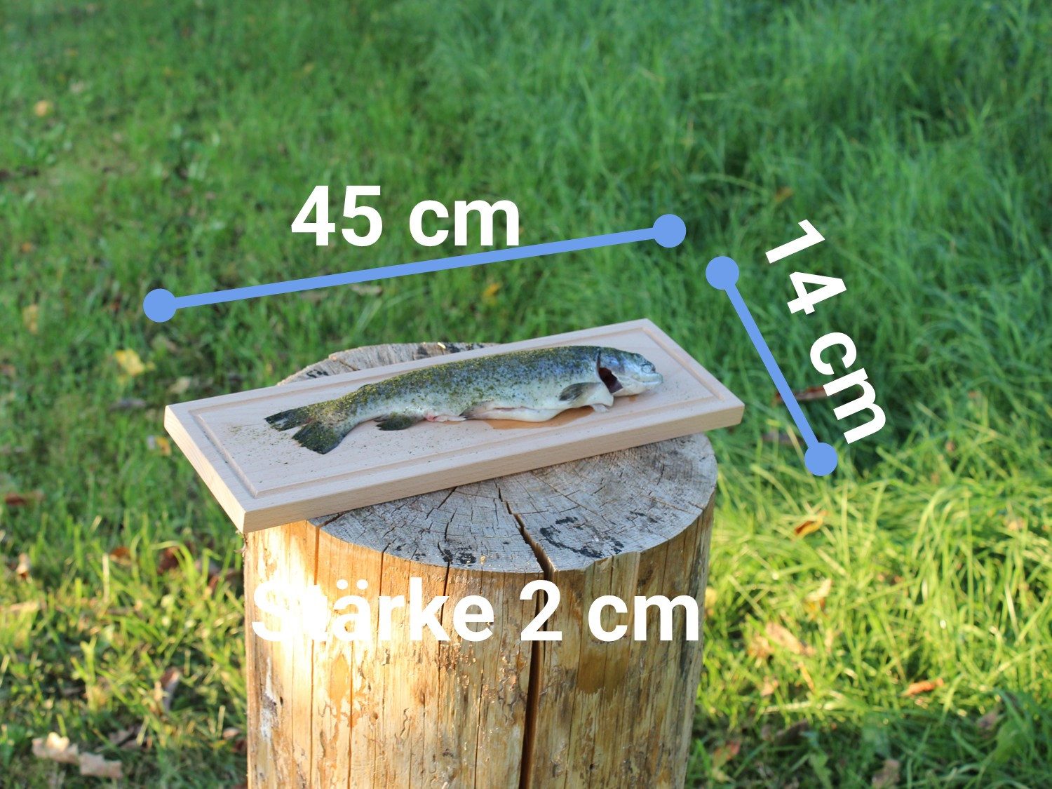 Schilling Fischgrilltechnik Grillguthalter Grillbrett Buche XXL für Fischfilet und ganze Fische, Buche naturbelassen, (Einzelbrett, Grillbrett mit Anleitung), h – Bild 4 von 5