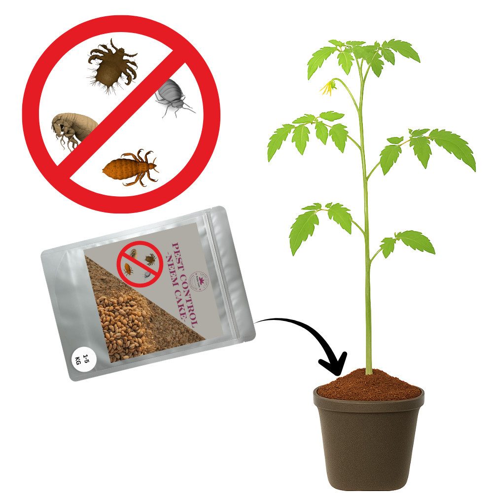 Purple Leafz Gartenpflege-Set PEST CONTROL-NEEMCAKE- gegen Trauermücken - Thripse - Spinnmilben etc., Neemcake Ergänzung für Erdoberfläche