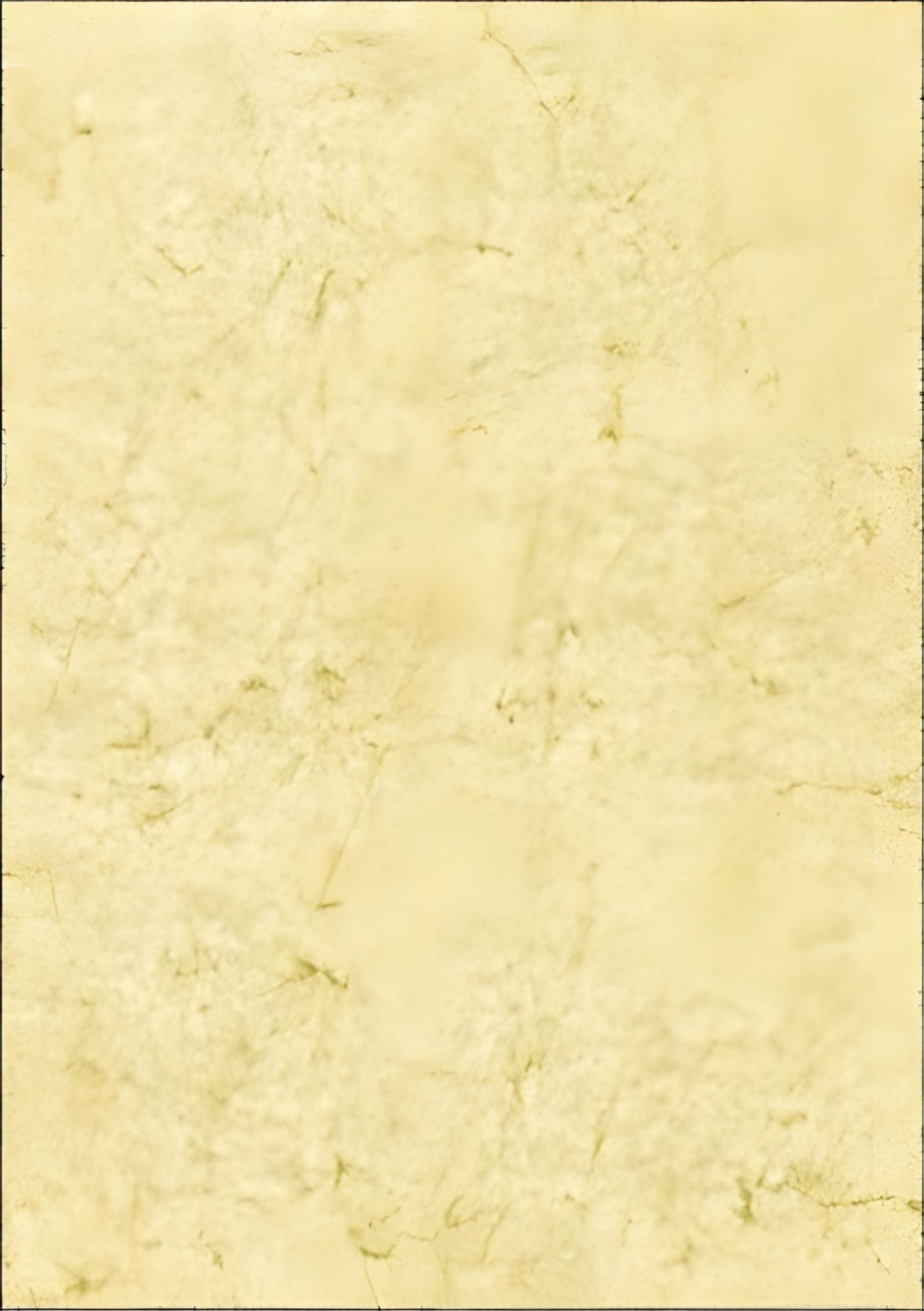 RNK Motivpapier RNK Elefantenhautpapier neutral A4 110g ch