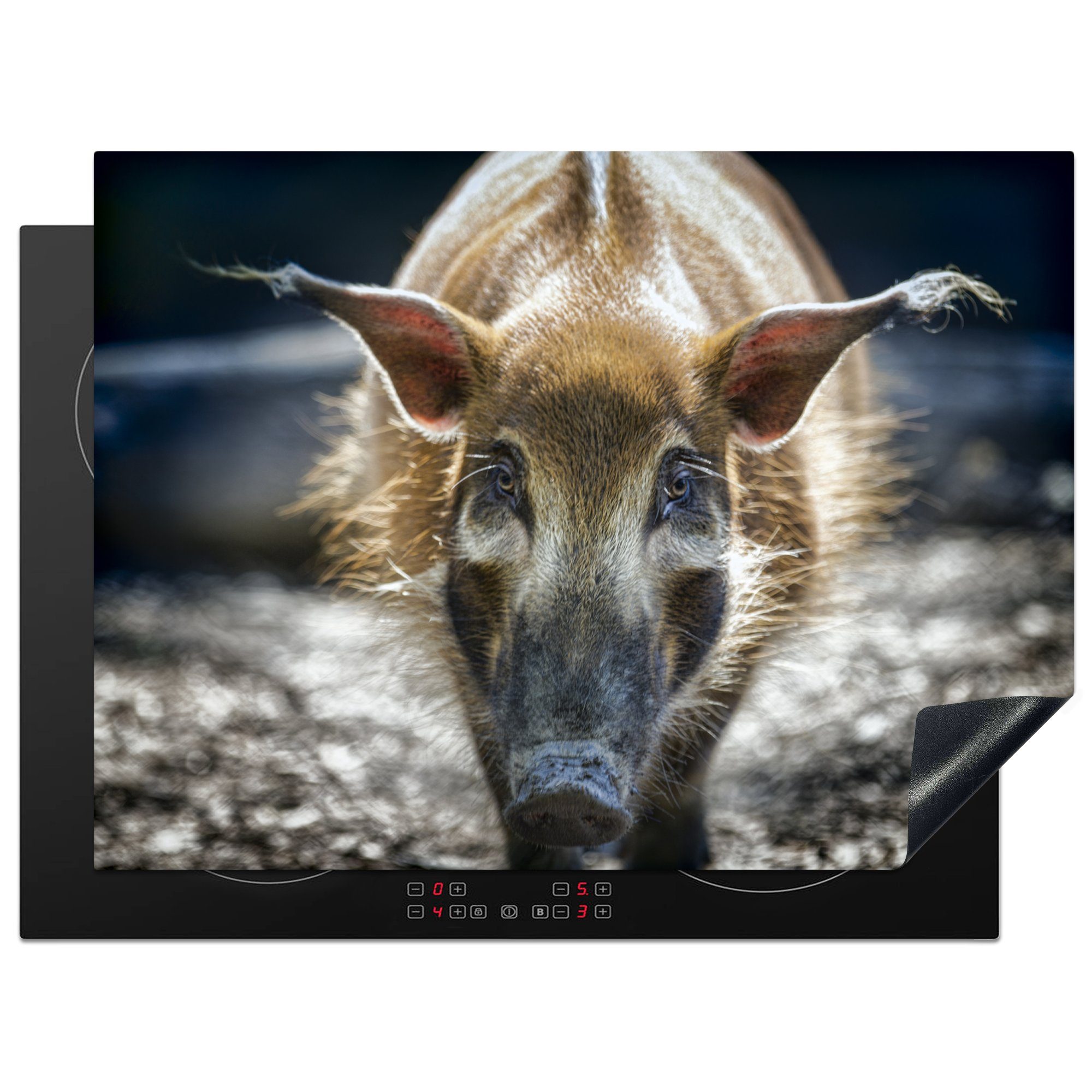 MuchoWow Herdblende-/Abdeckplatte Wildschwein - Schwein - Tiere, Vinyl, (1 tlg), 70x52 cm, Mobile Arbeitsfläche nutzbar, Ceranfeldabdeckung