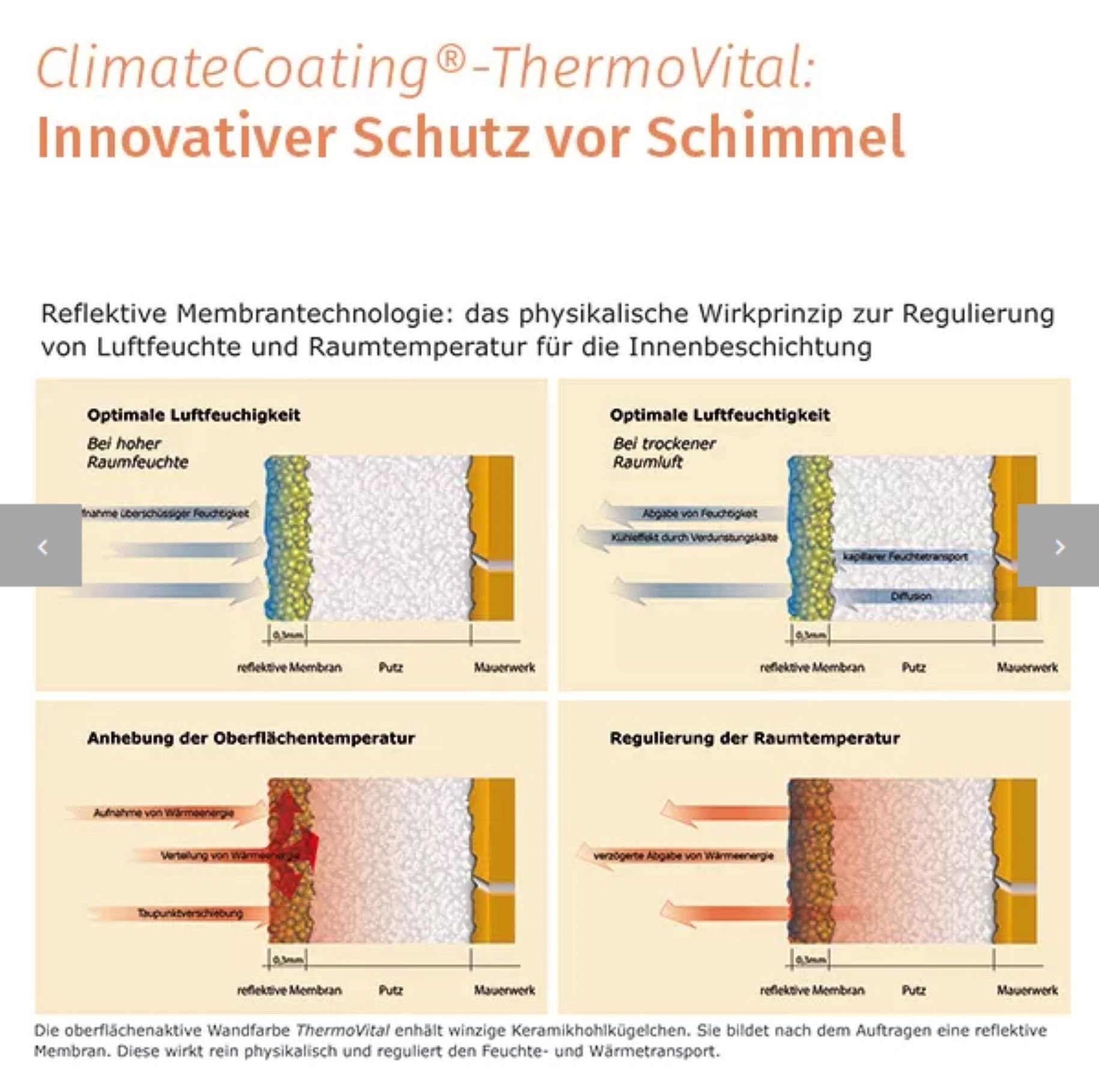 feuchteregulierend, vorbeugend Wand- Deckenfarbe gegen und Schimmelpilzwachstum ThermoVital, ClimateCoating