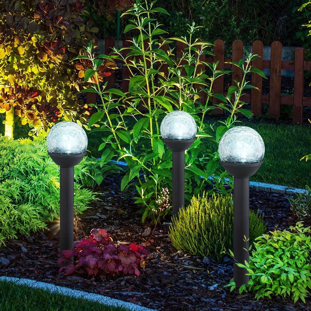 etc-shop LED Gartenleuchte, LED-Leuchtmittel fest verbaut, Kaltweiß, Tageslichtweiß, 3x LED Solarleuchte Solarlampe Glas Schwarz Kunstostoff Erdspitz