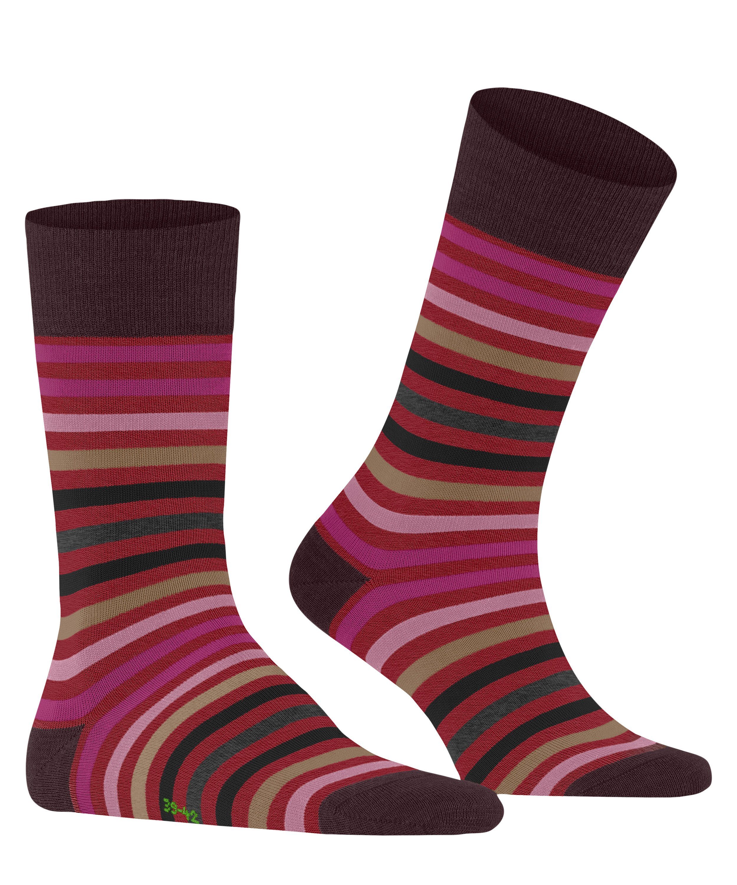 FALKE Socken Tinted Stripe (1-Paar) mit merzerisierter Baumwolle günstig online kaufen