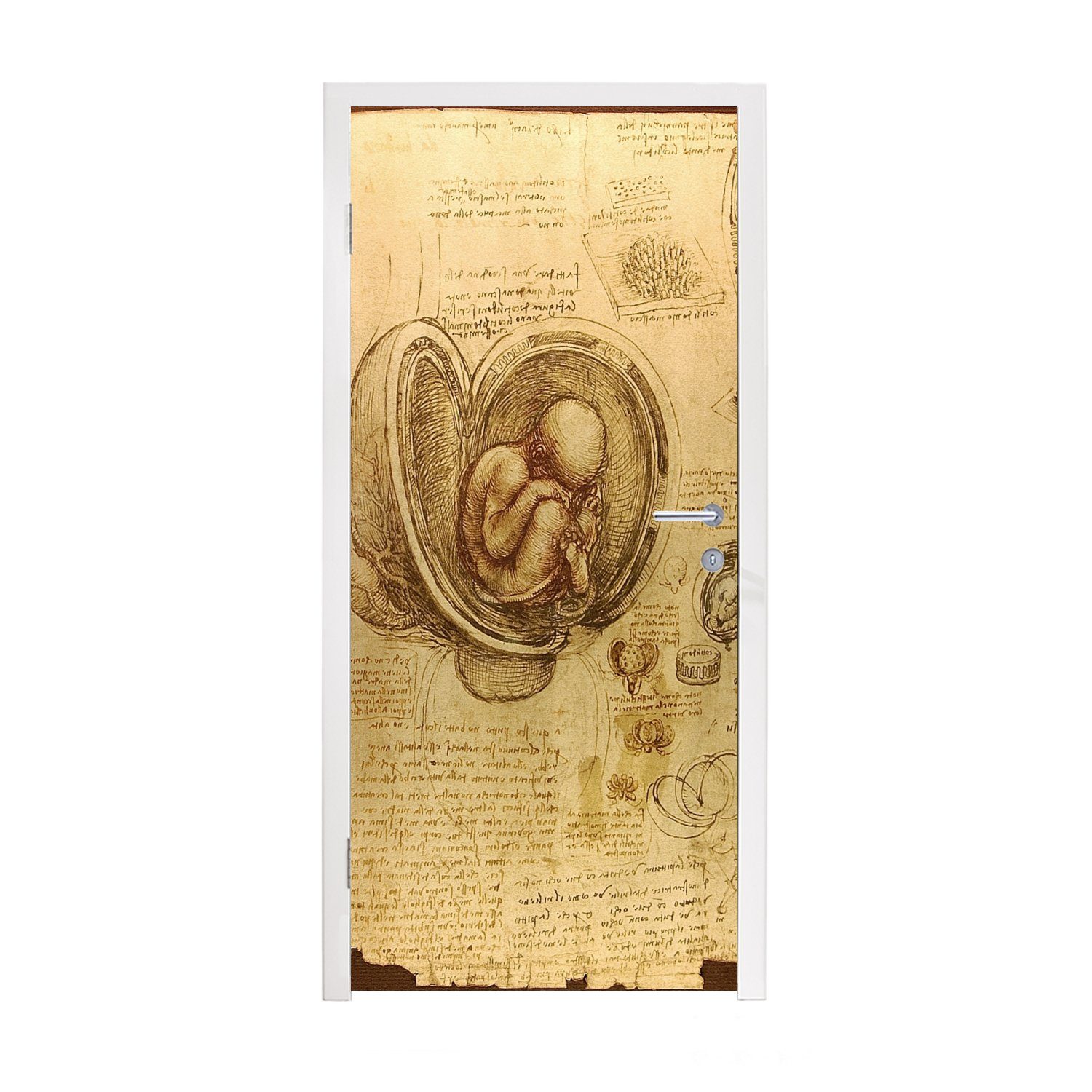 MuchoWow Türtapete Baby im Mutterleib - Leonardo da Vinci, Matt, bedruckt, (1 St), Fototapete für Tür, Türaufkleber, 75x205 cm