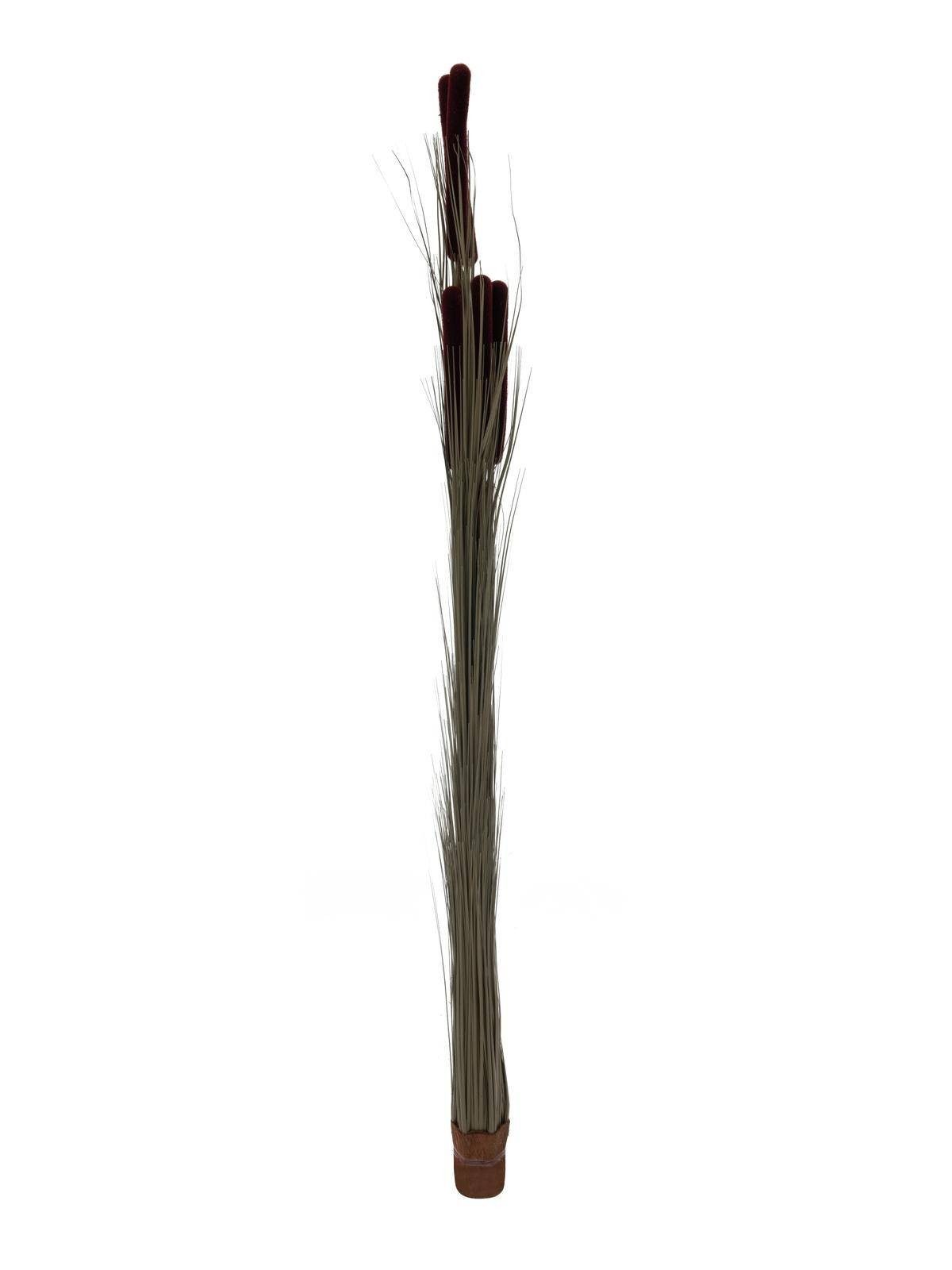 Kunstgras Deko Schilfgras, Kolben, Dunkelbraun, 150cm - Künstliches Gras Schilf, artplants, Höhe 150.0 cm